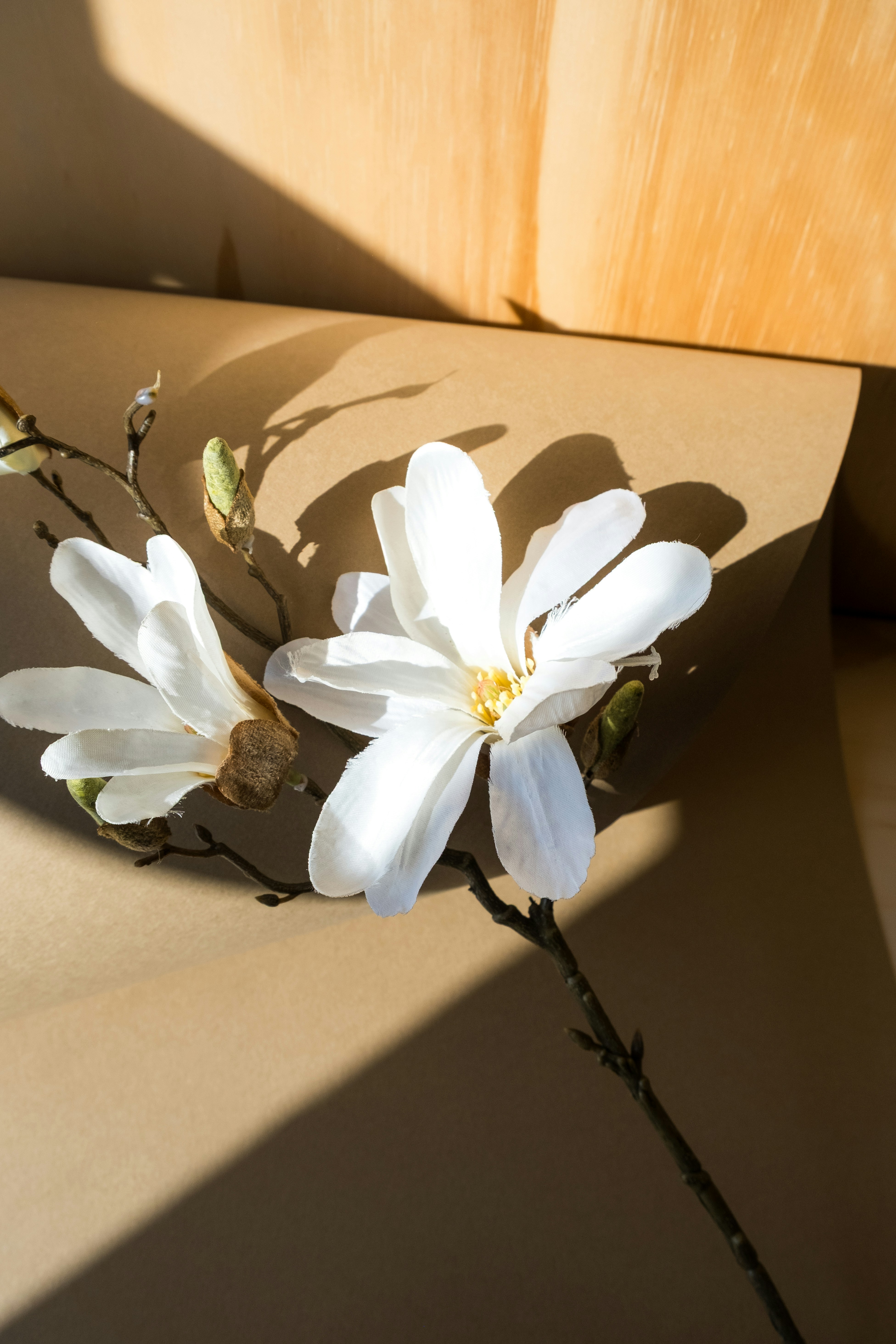 luxury floral wallpaper, wallpaper, Floral Installations: Designing Luxurious Displays 5