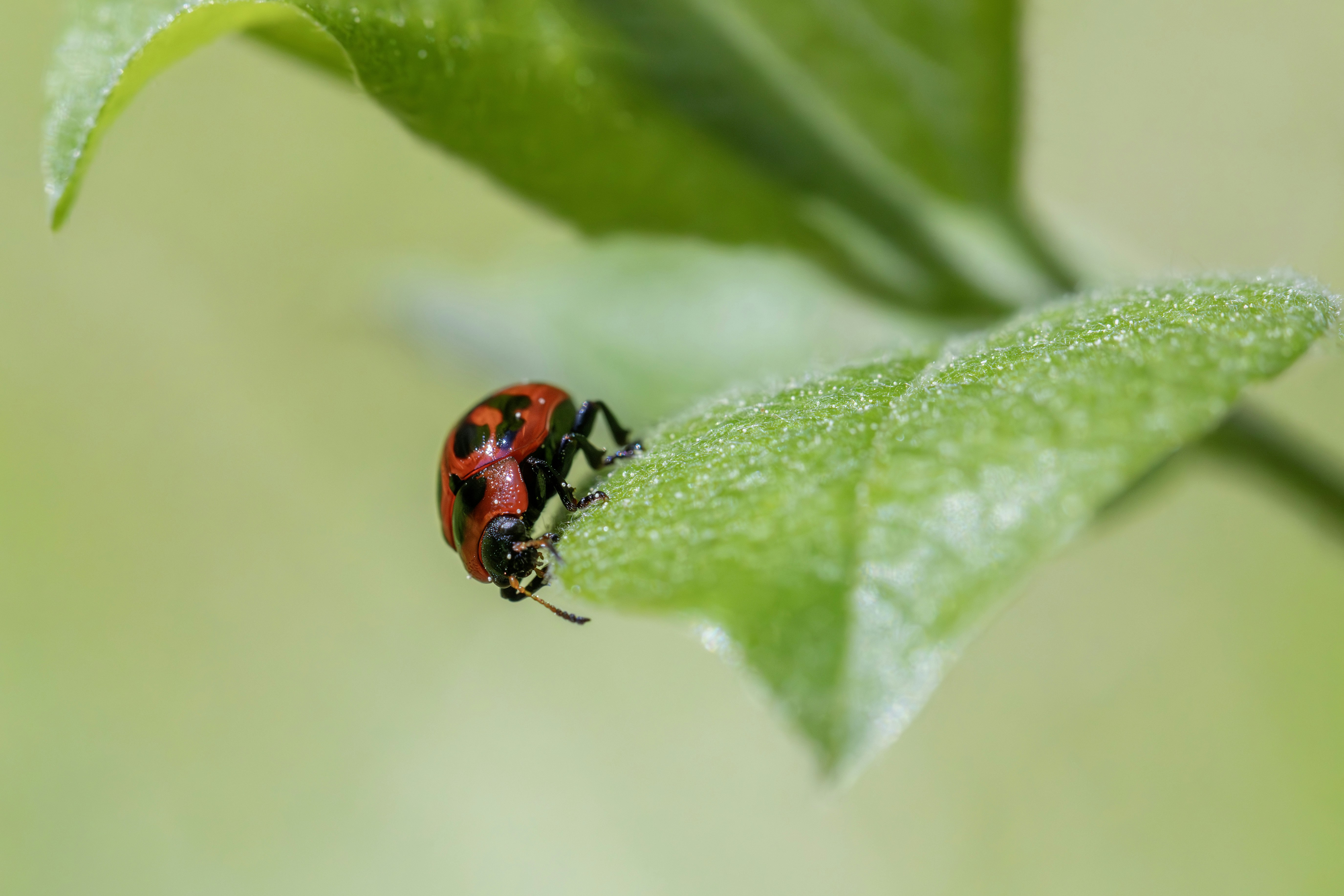 Photo by erik_karits