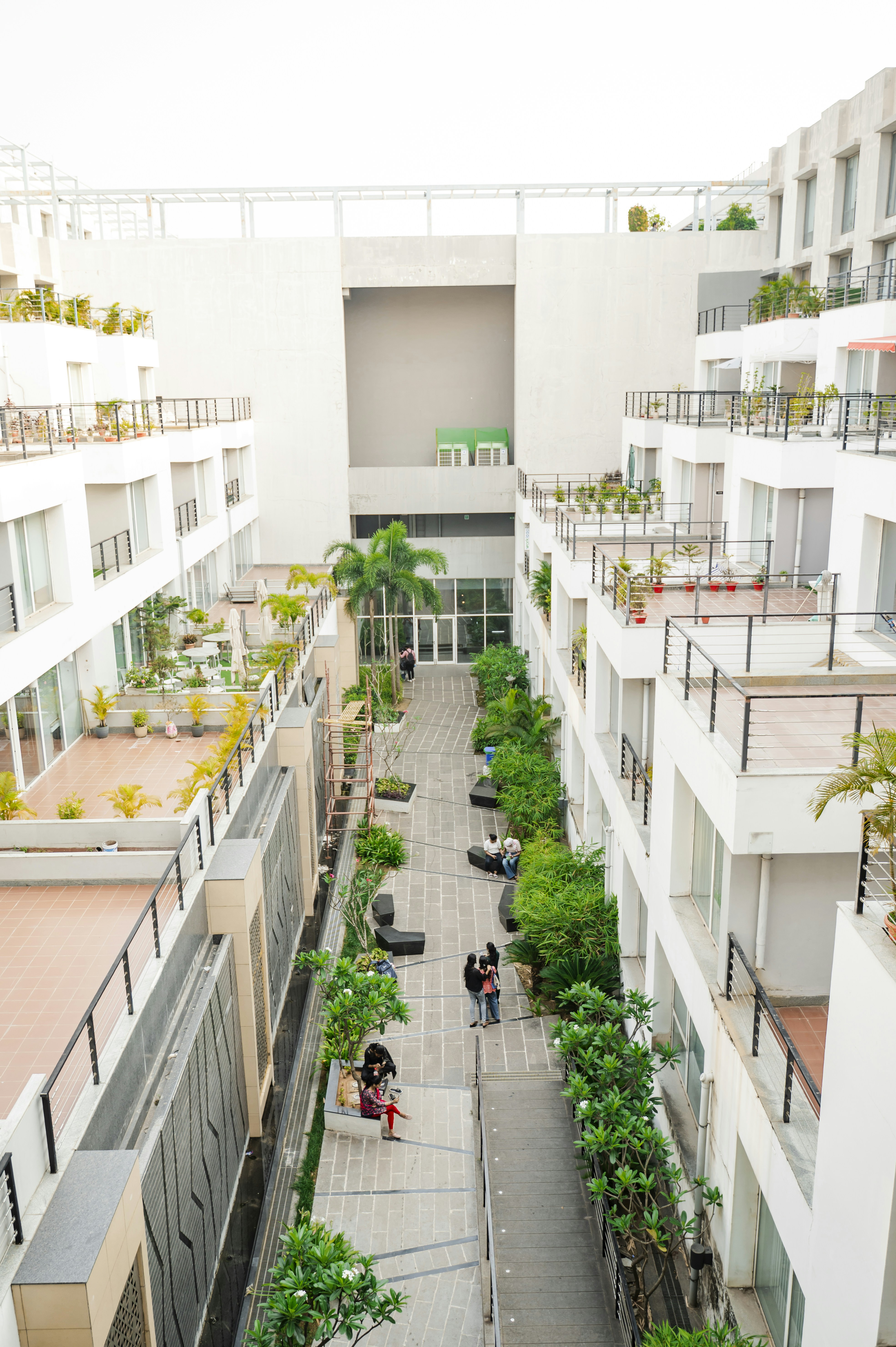 A courtyard with buildings and greenery.