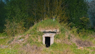 A hobbit-like dwelling covered with grass.