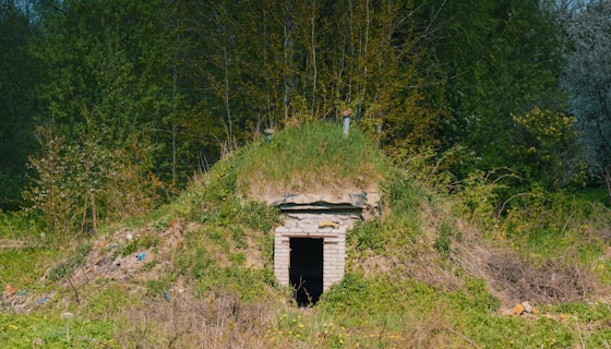 A hobbit-like dwelling covered with grass.