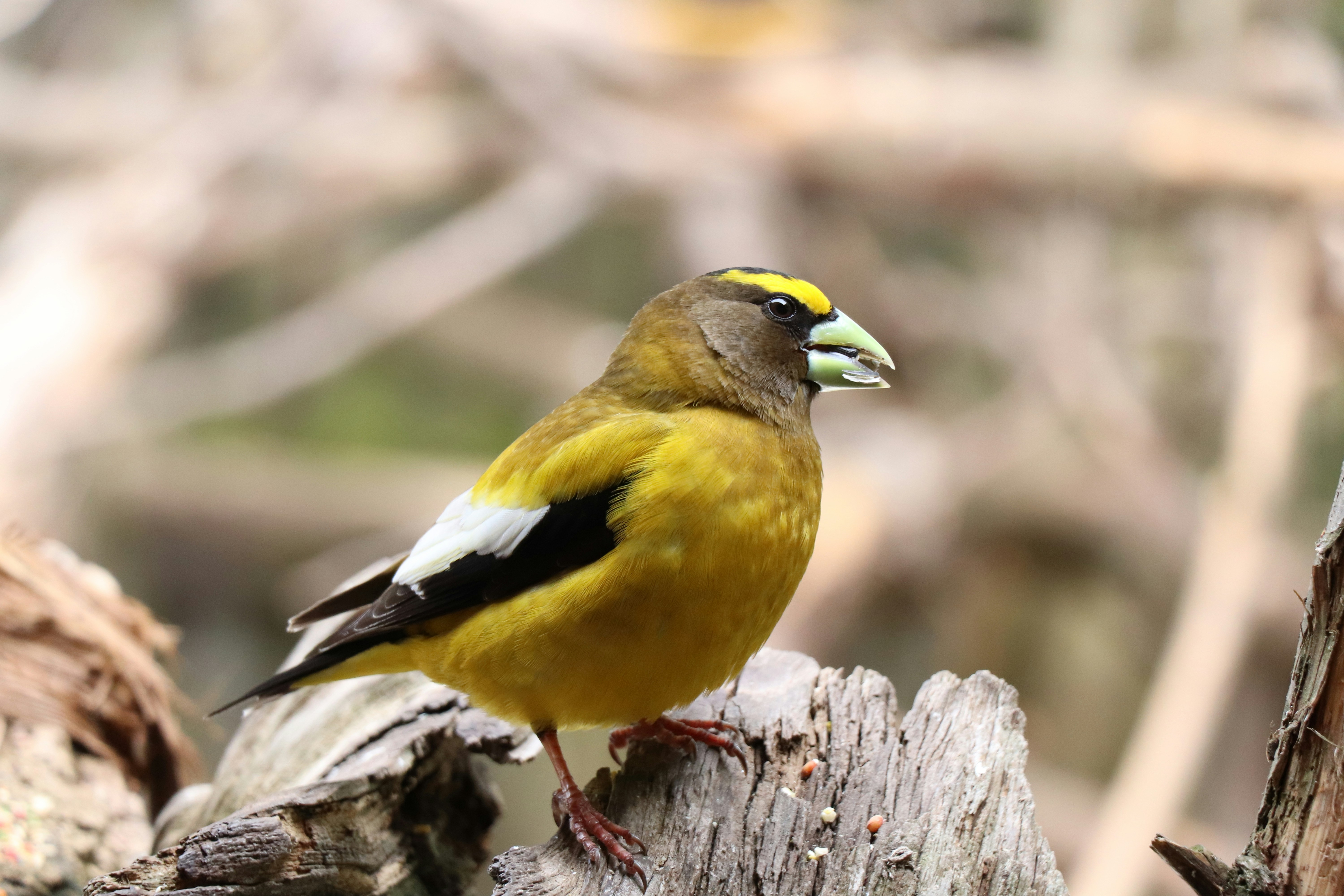 Photo by sandimagerart