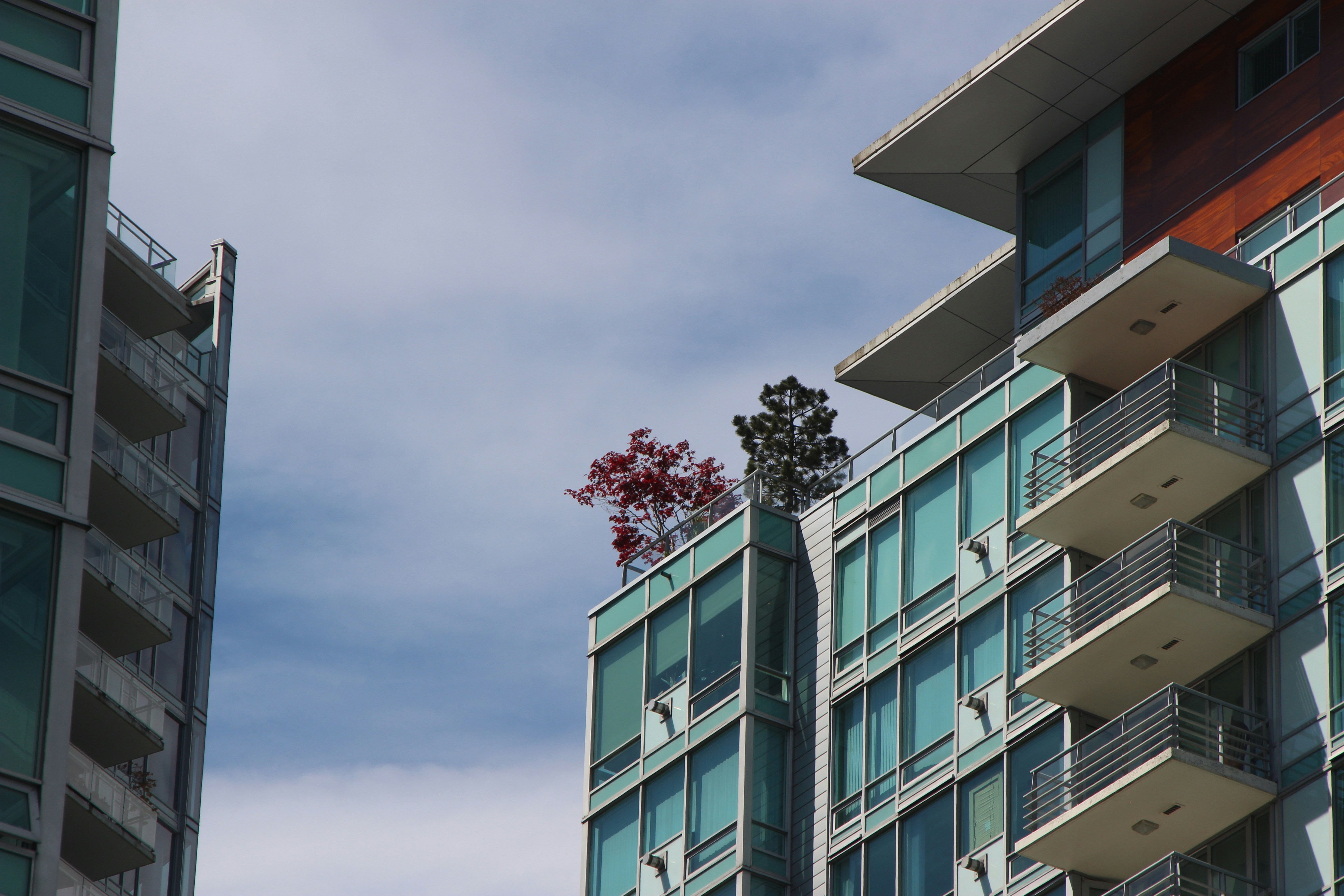 Photo by magnetification