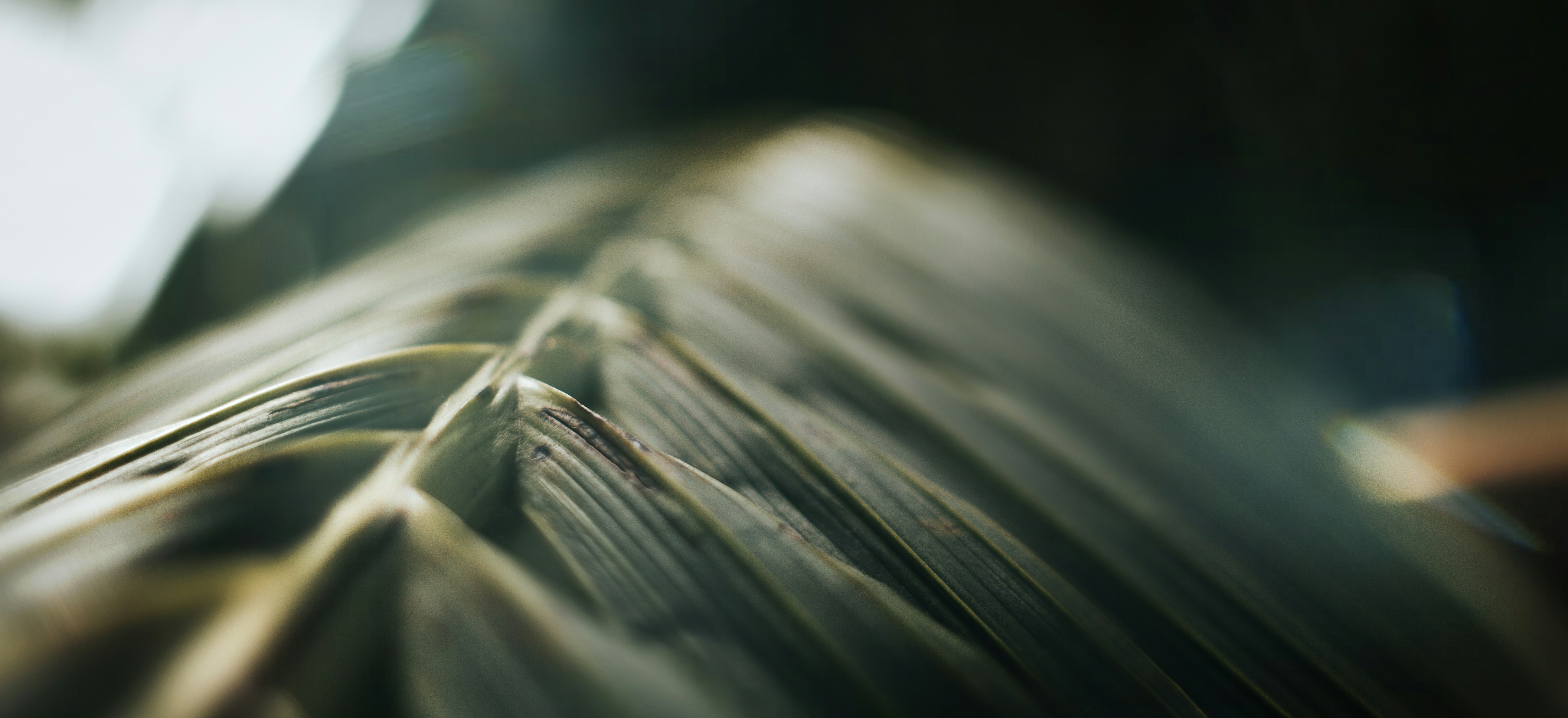 Photo by matthewryanstephenson