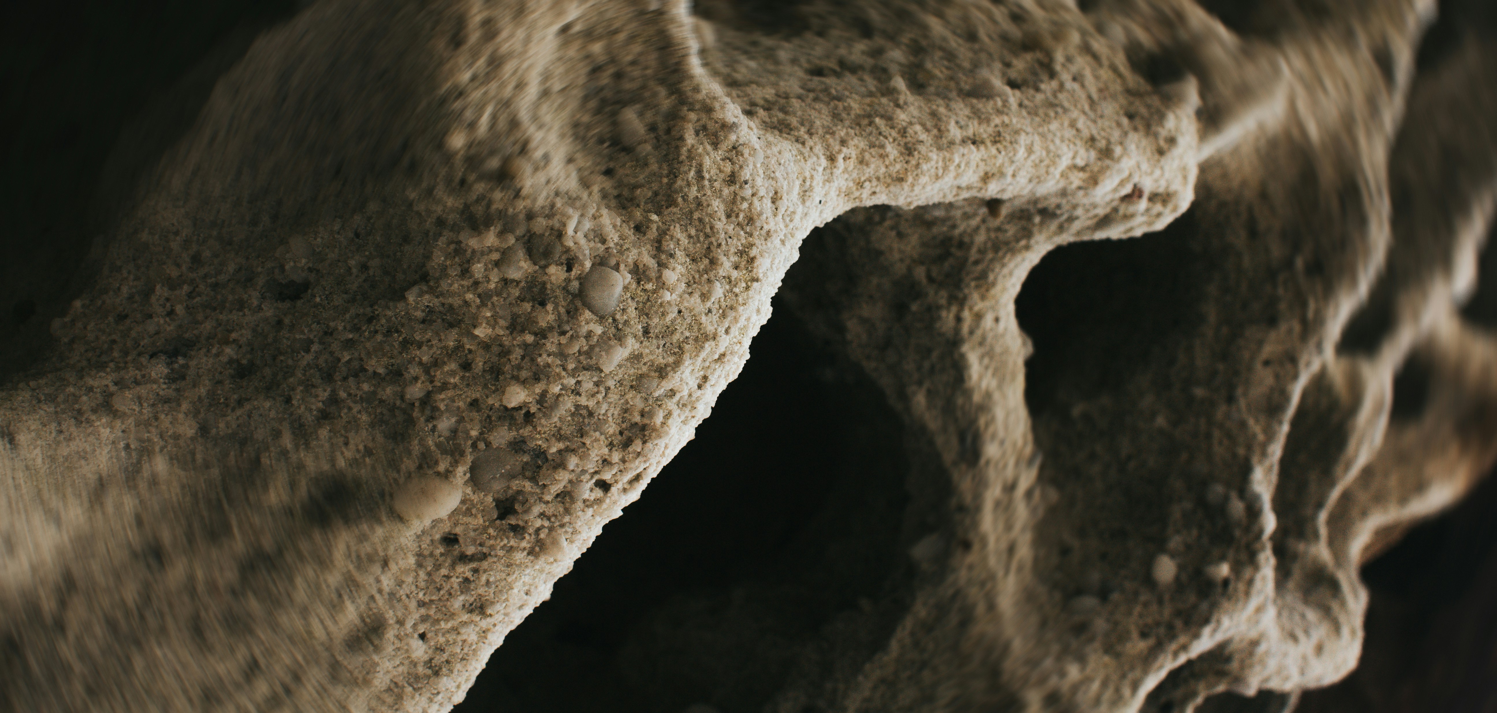 Revolutionary Treatment for Bone Infections (image credits: unsplash)