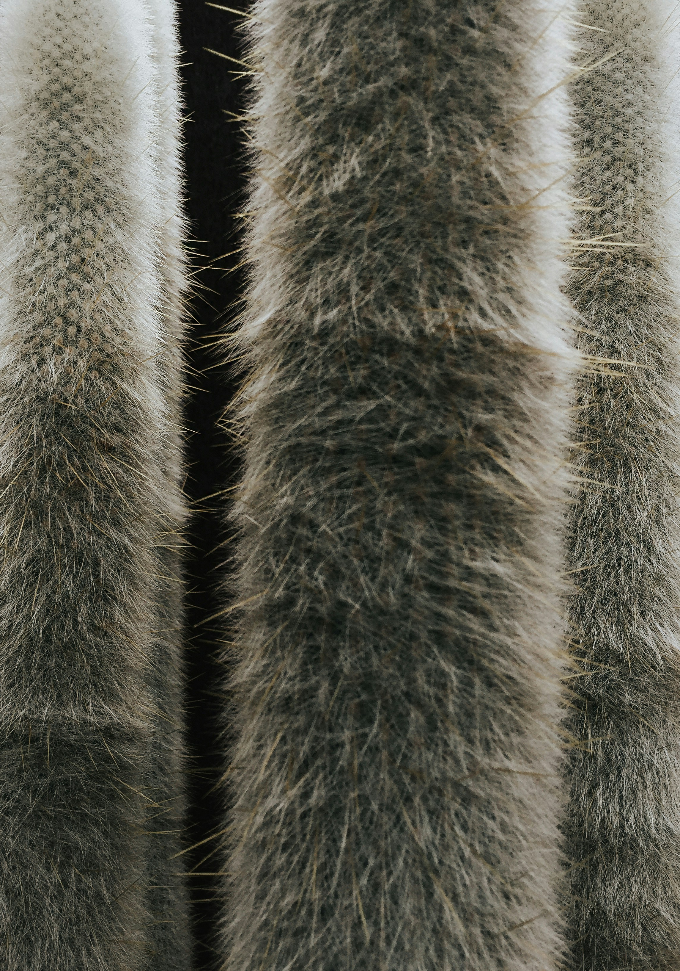 Photo by matthewryanstephenson