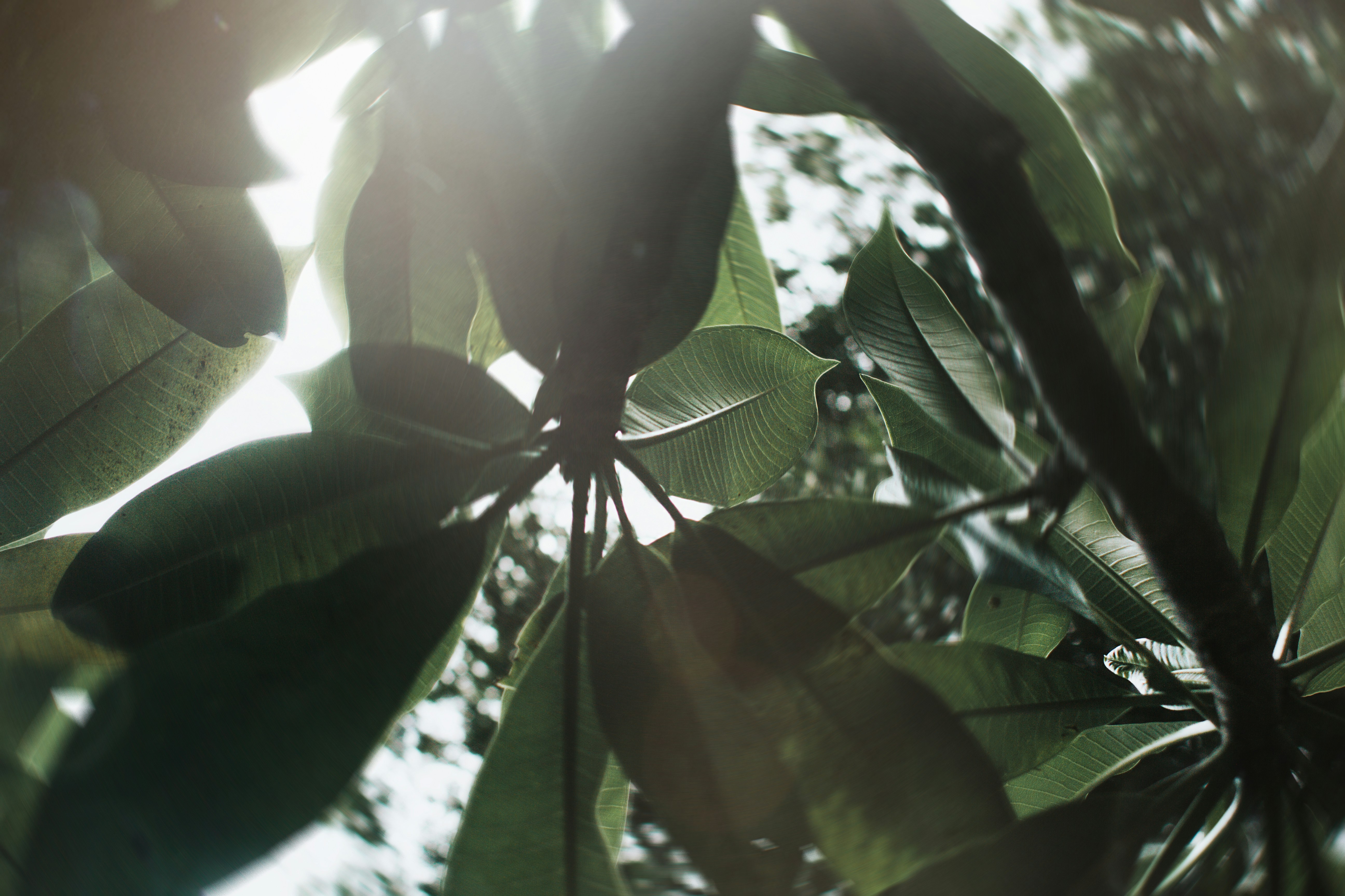 Photo by matthewryanstephenson