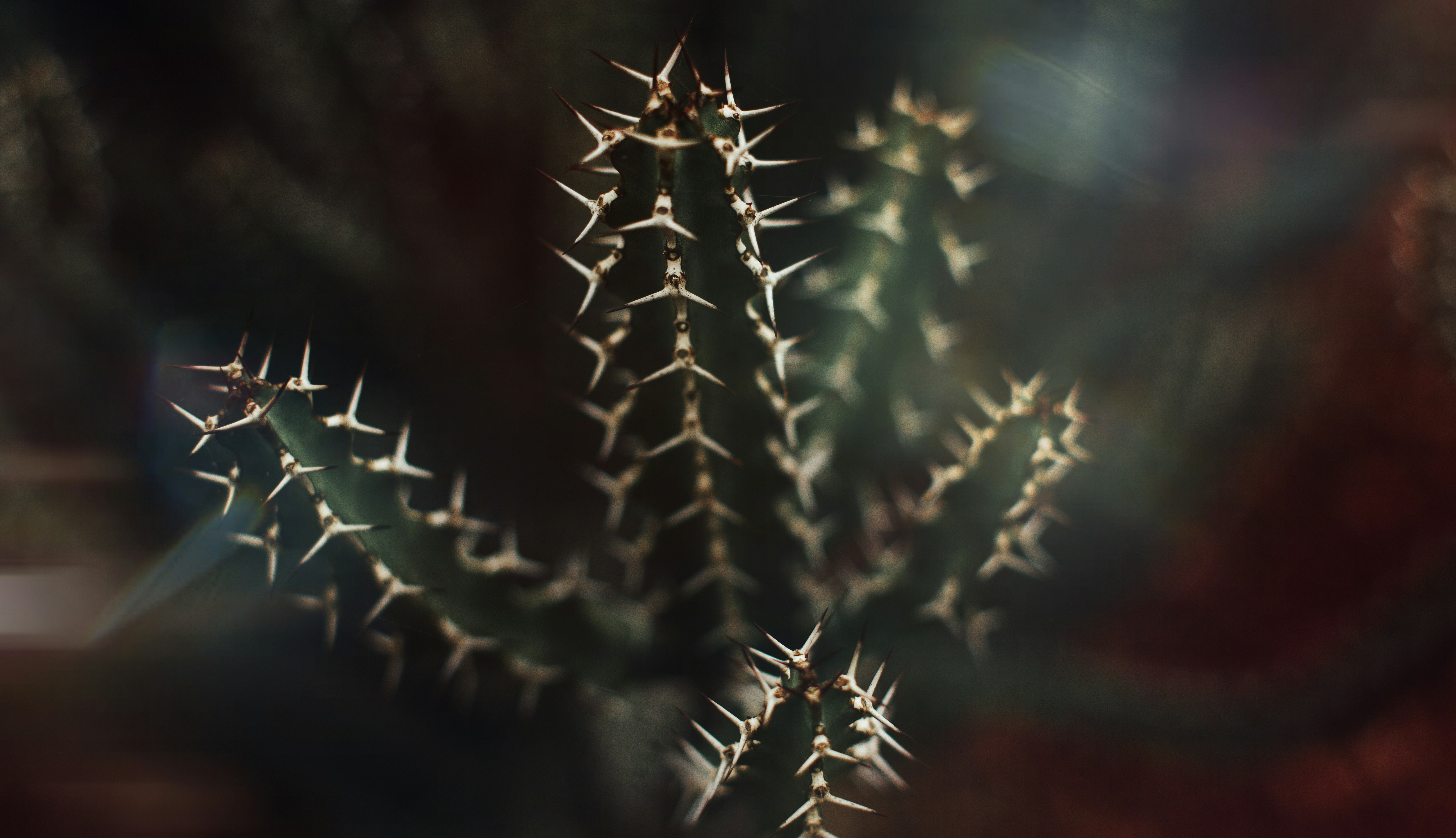 Travel Administration and Road Trips in 2026: Navigating Passport Delays, Visa Rules and Mobility Changes