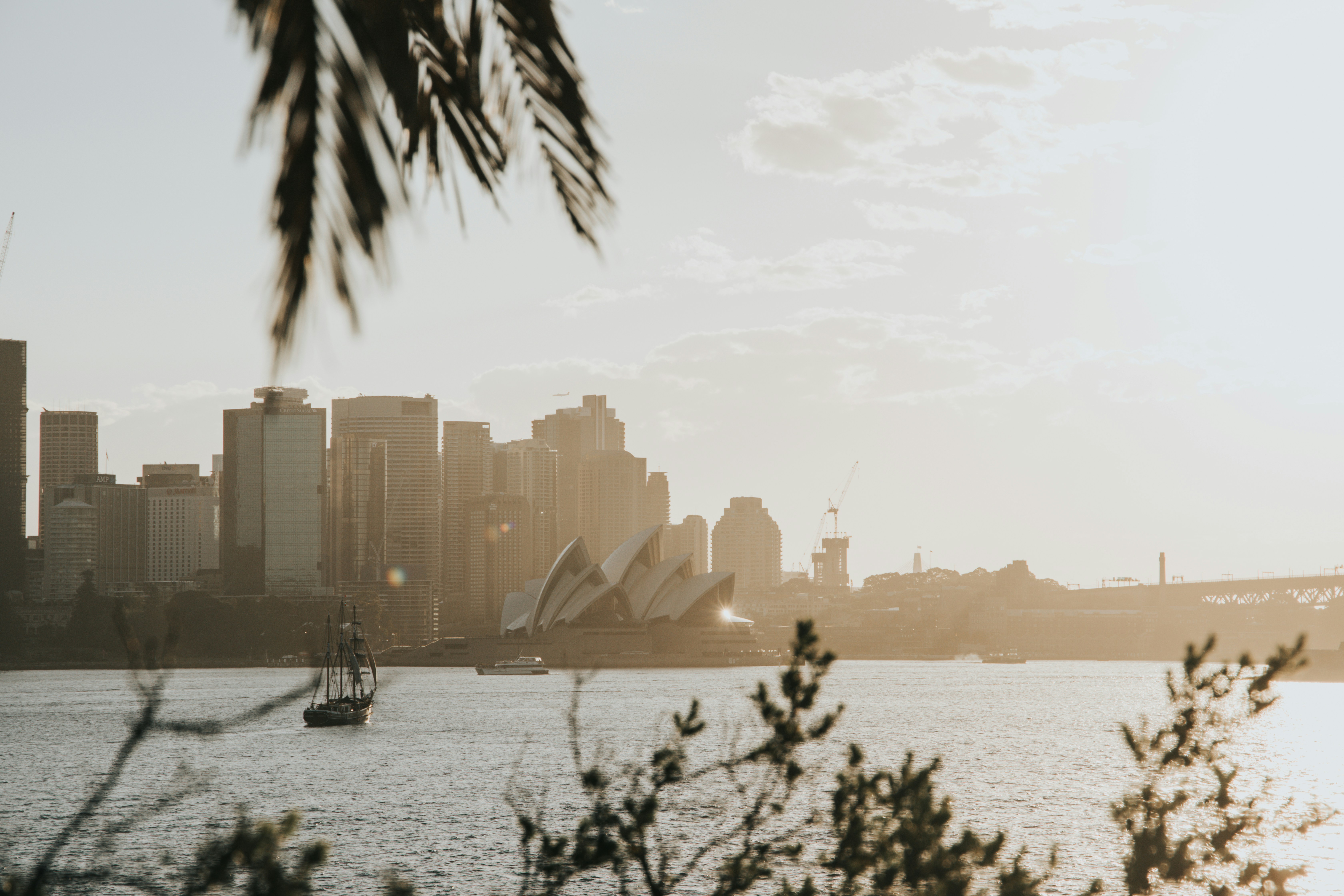 Sydney skyline at sunset over the water.