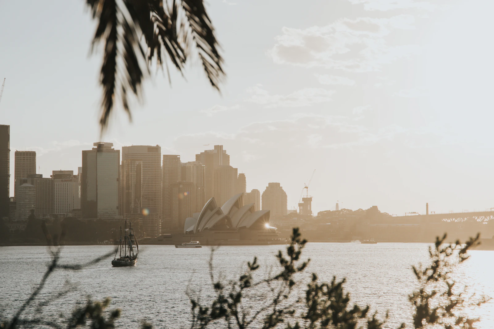 Sydney skyline and harbour at sunset