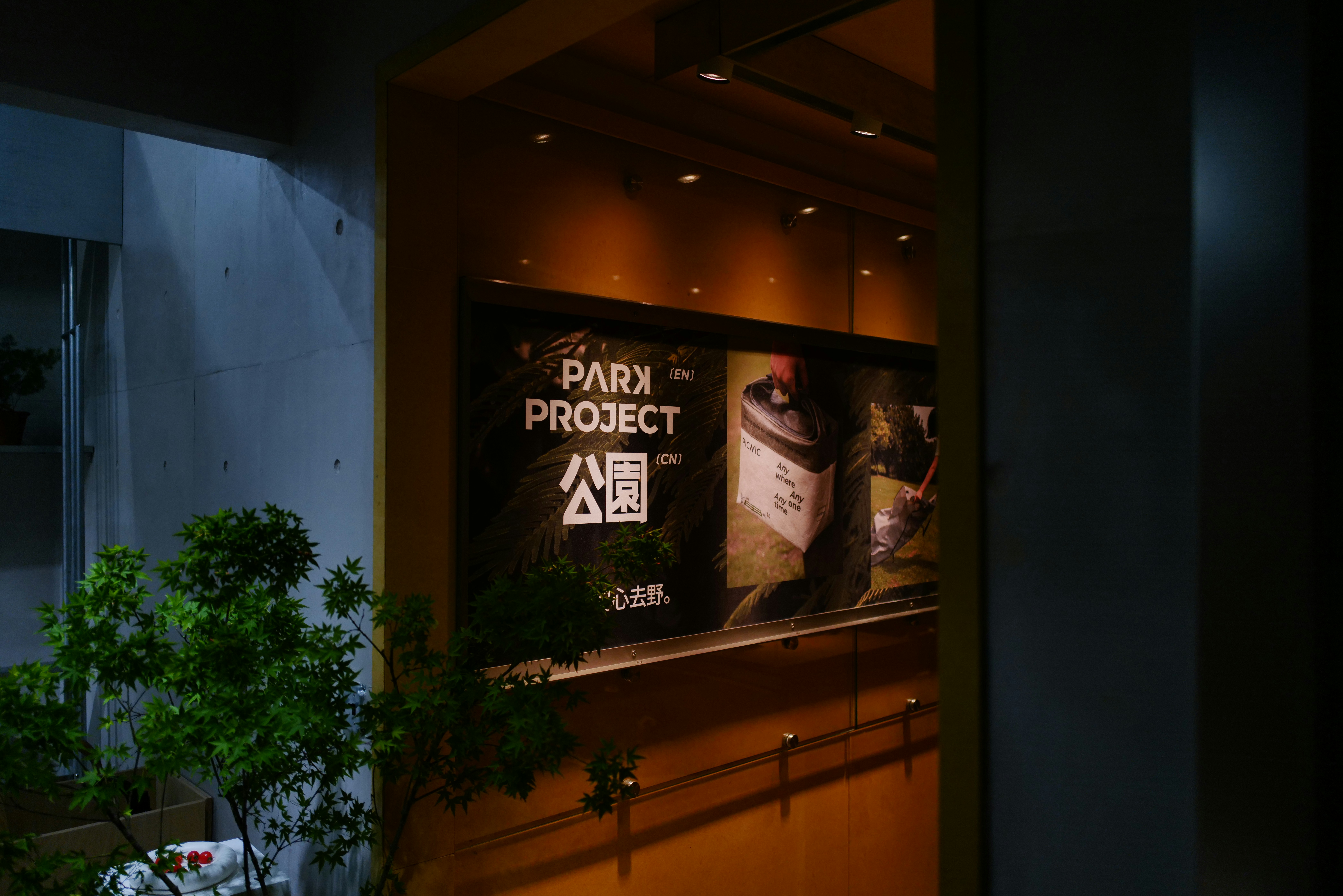 Park project signage lit up at night.