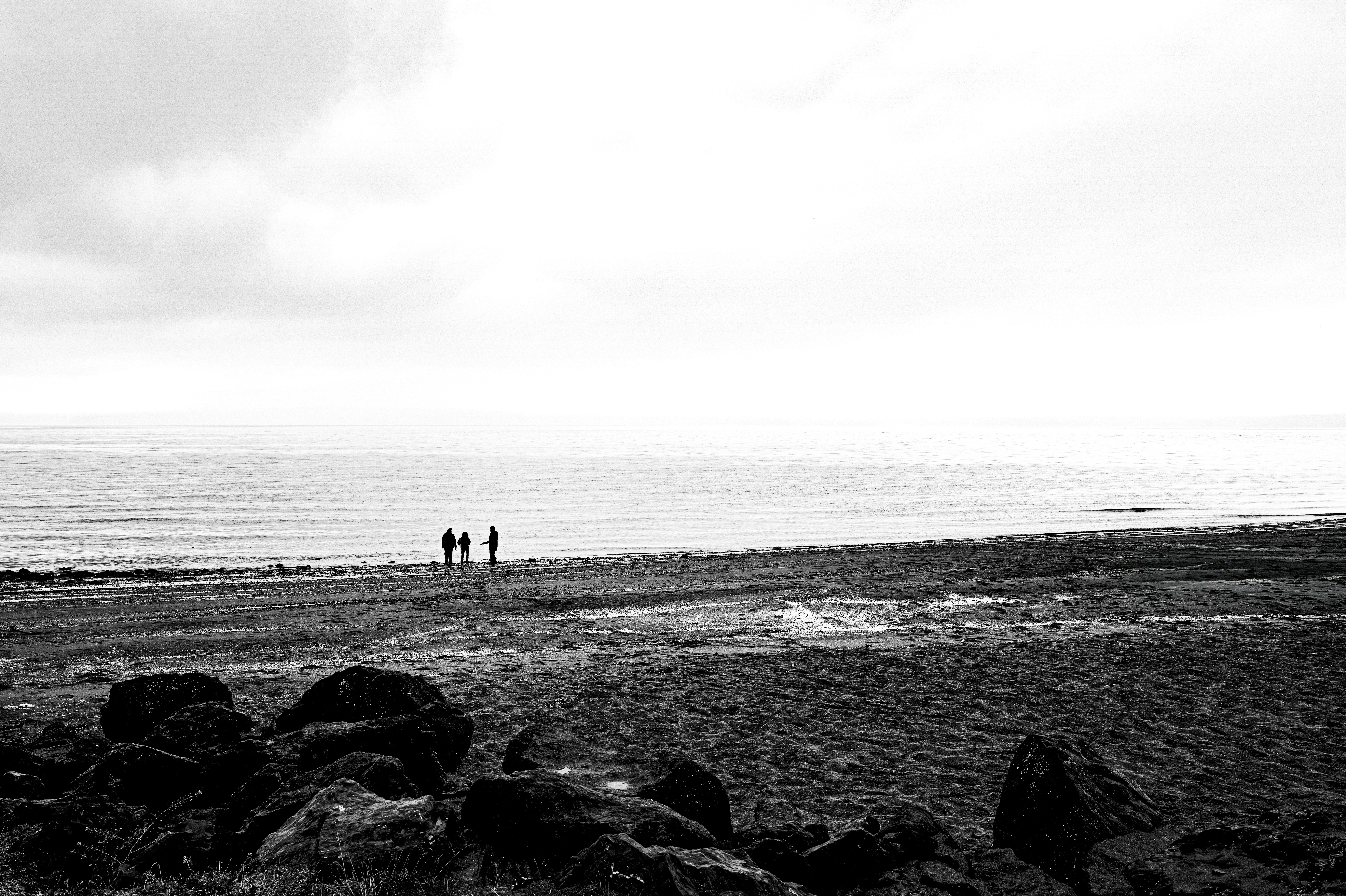 Photo by _zash_capturing