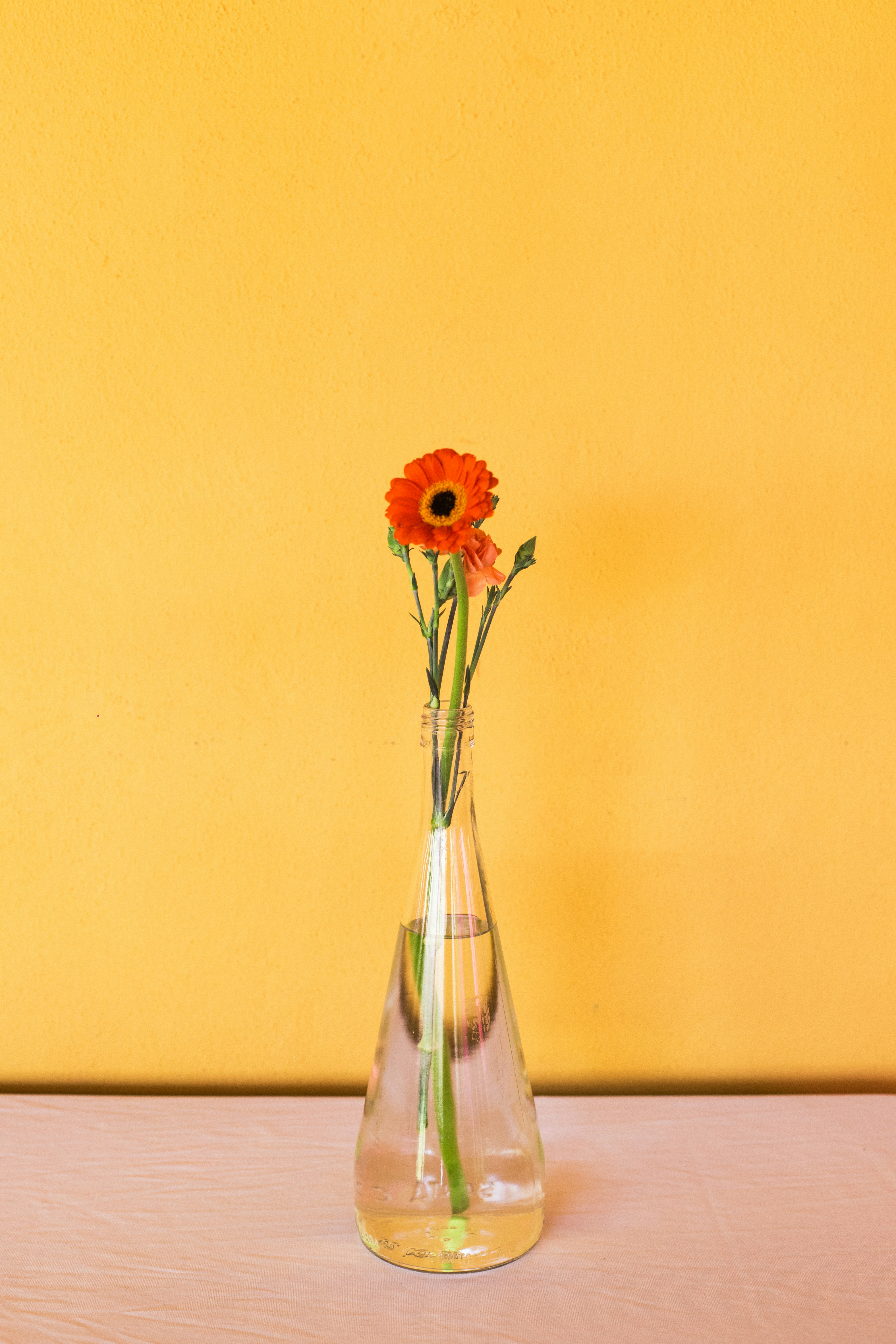 Photo by hectoroconnor