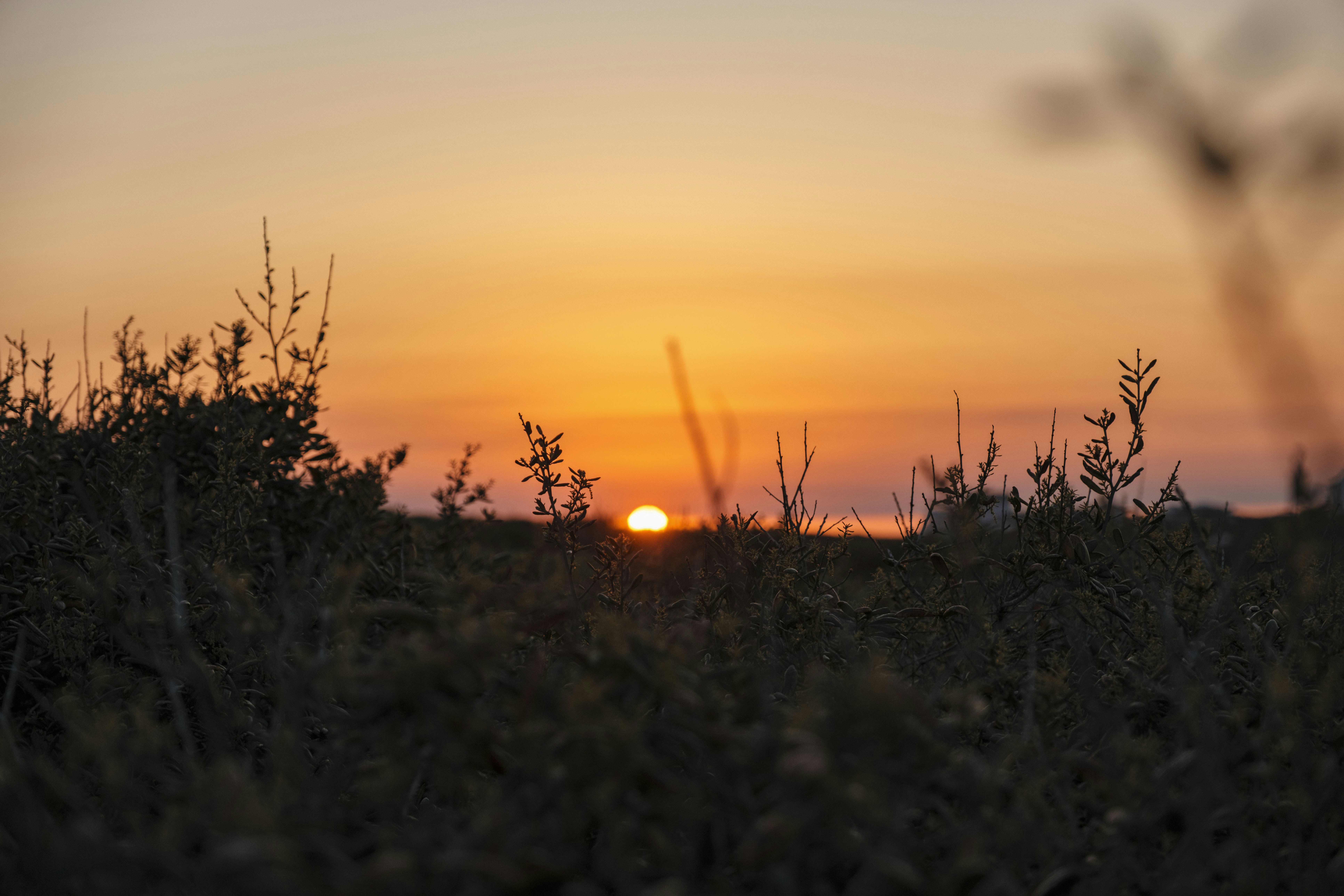 Photo by colinandmeg