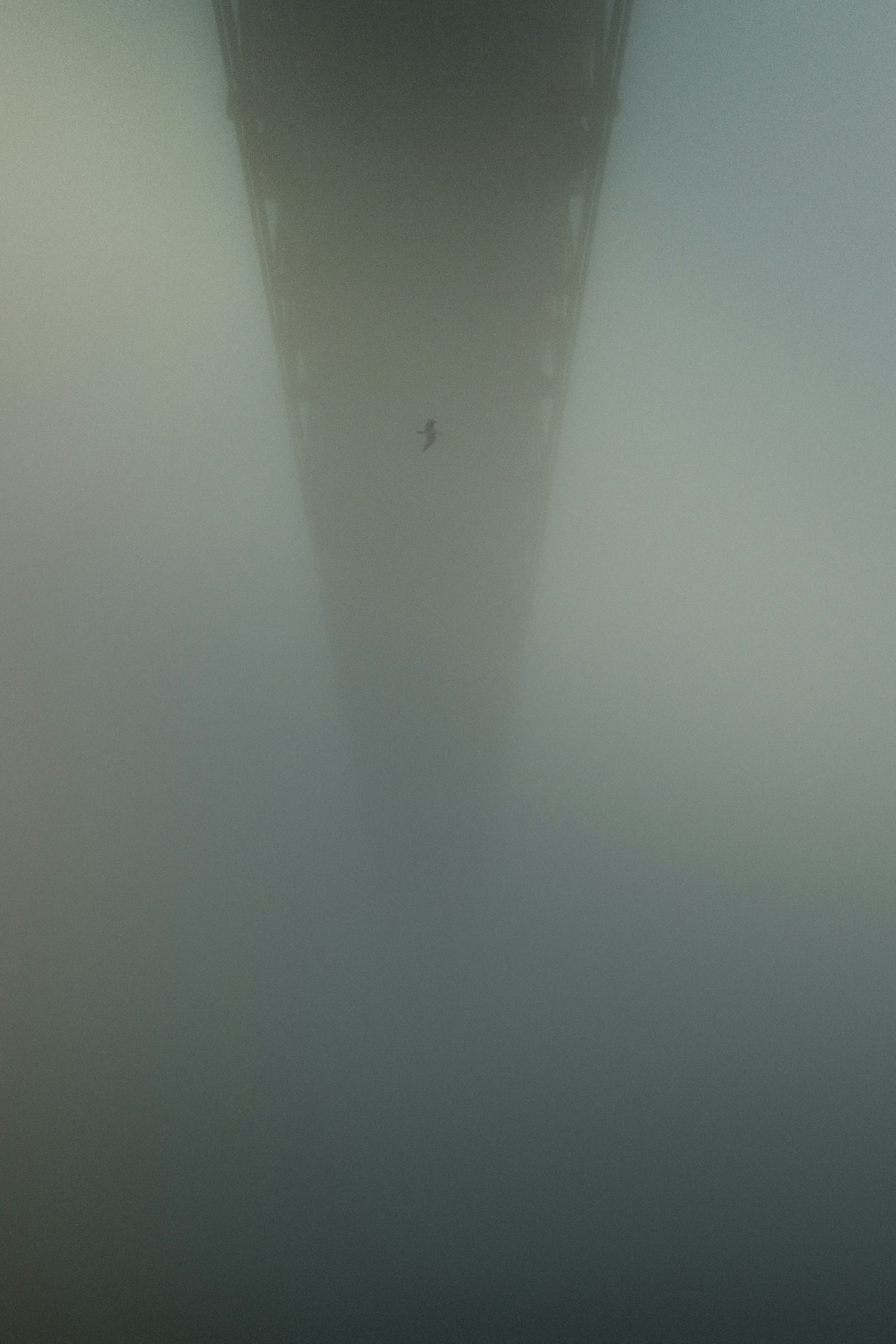 A bridge extends into heavy fog.