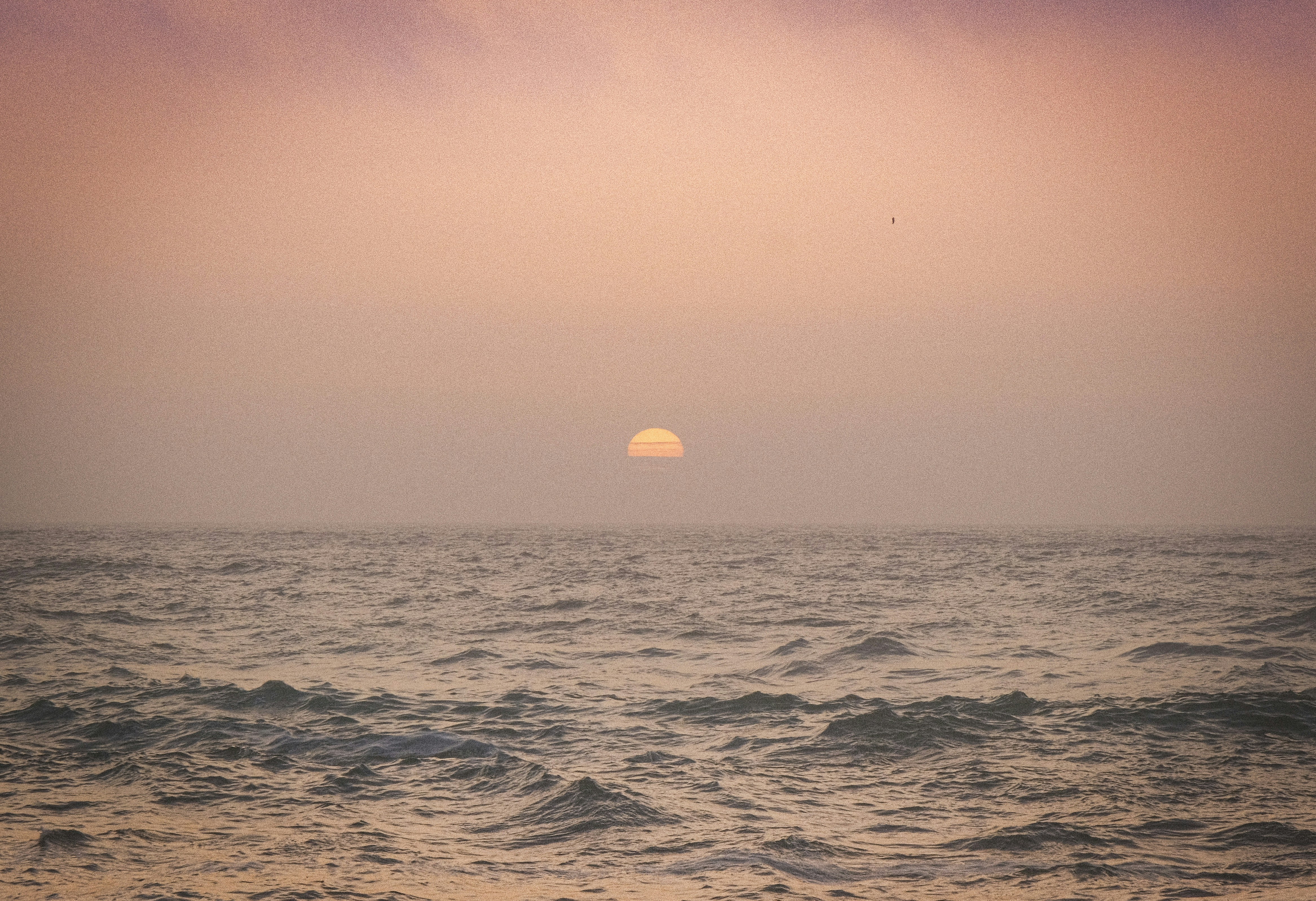 أفضل شركة تنظيف خزانات المياه بجدة: الجودة والأسعار