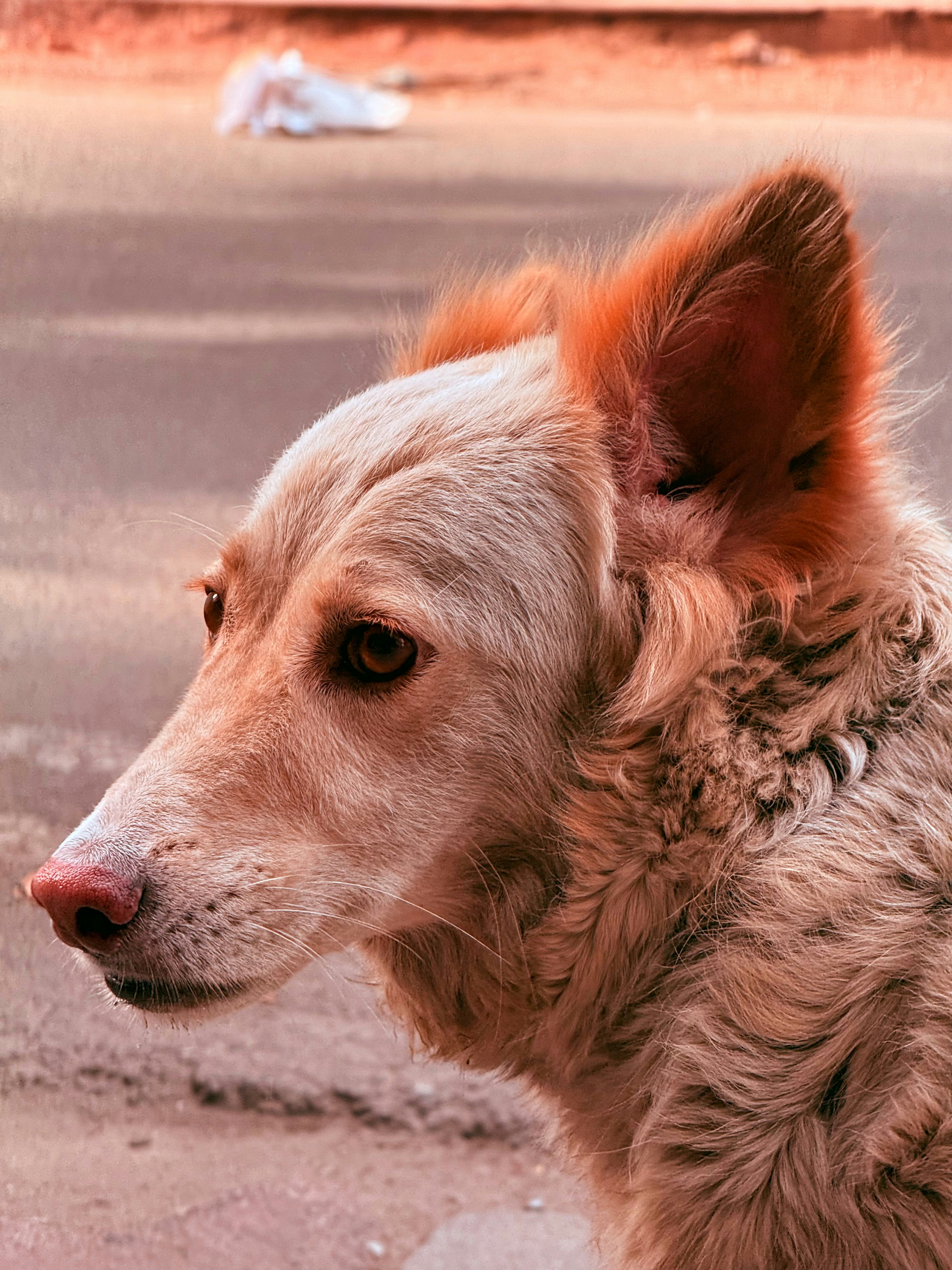 Photo by rakshityadav190