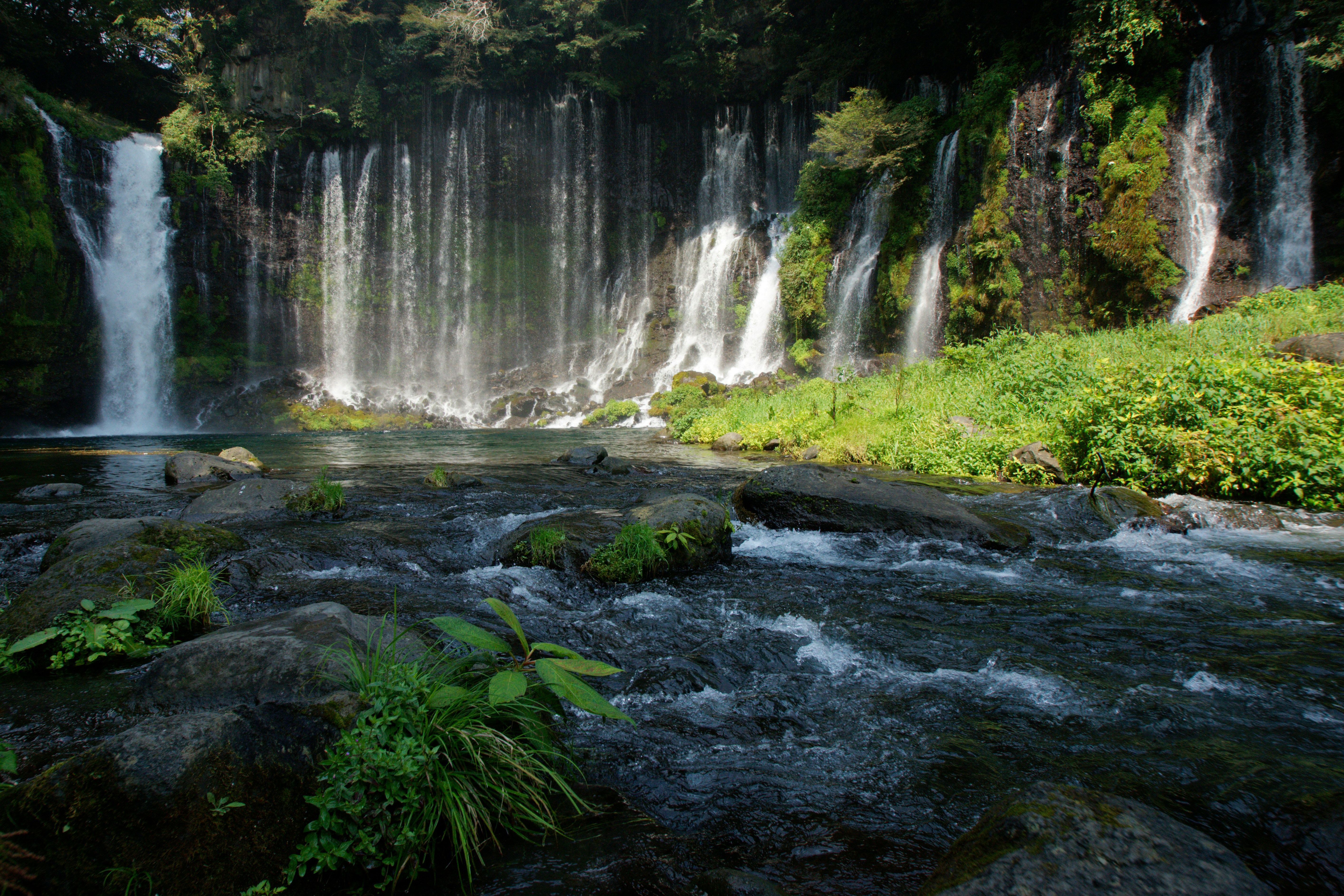 Photo by da_shika_photo