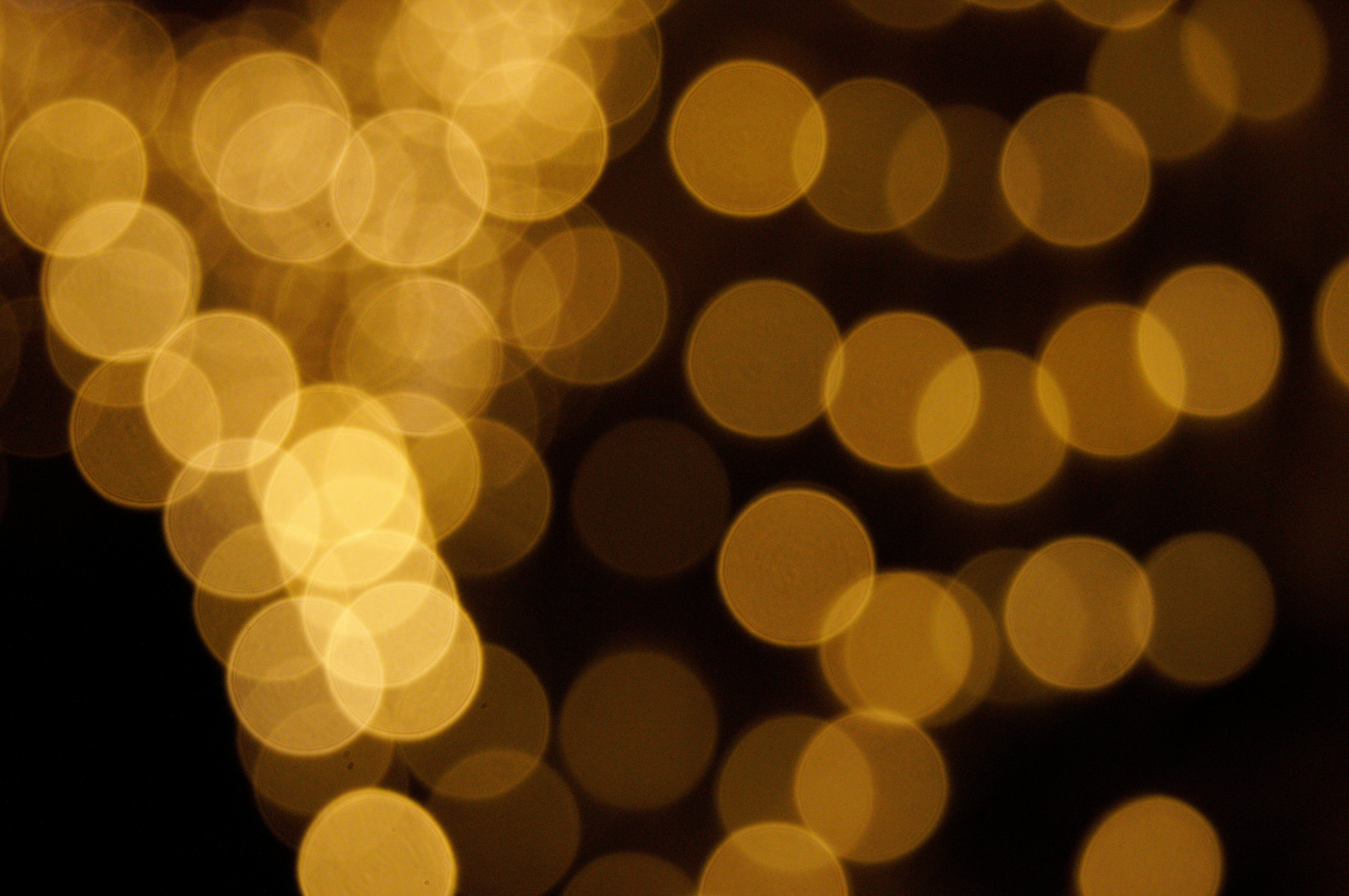 Photo by da_shika_photo