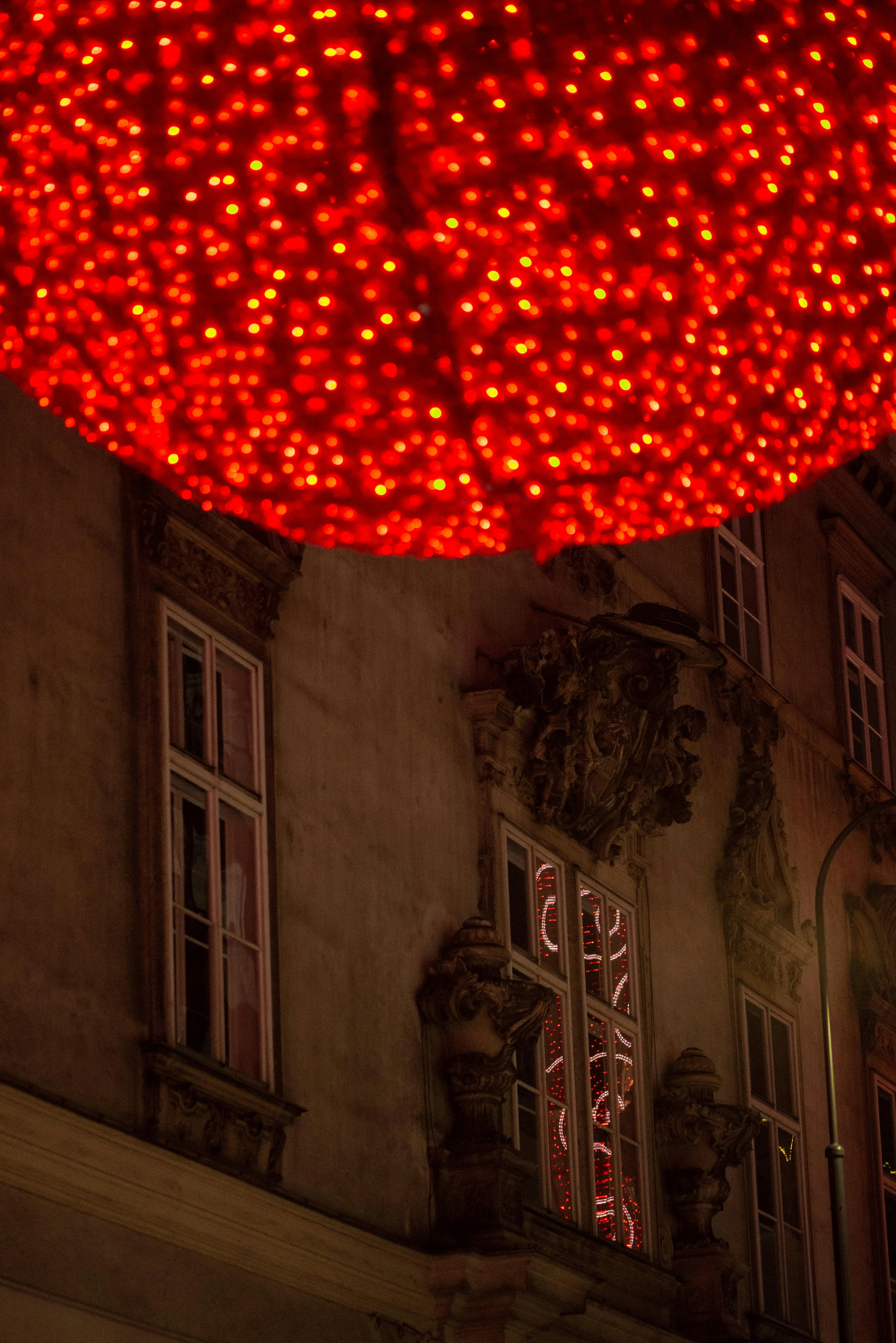 Photo by photohelensoroka