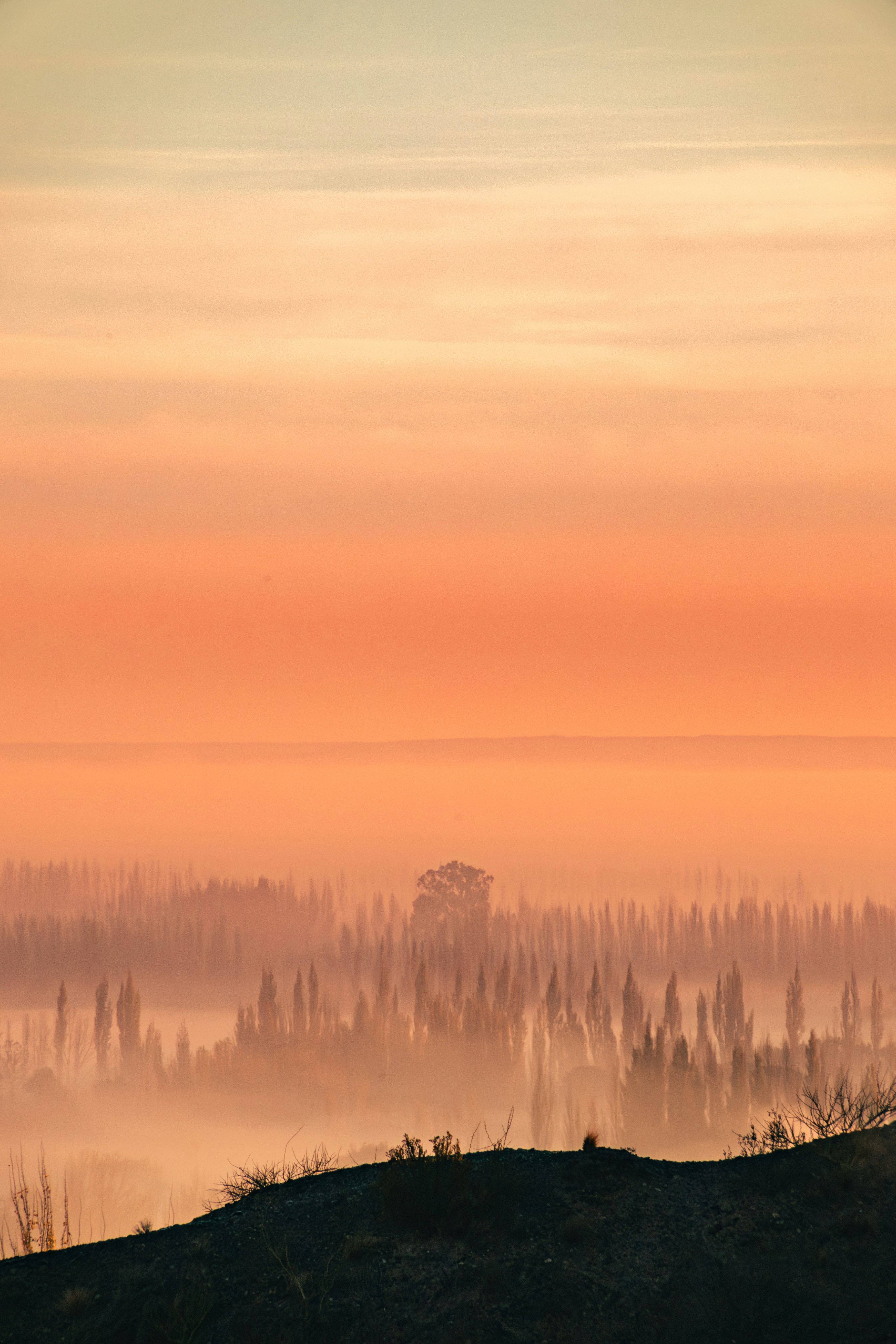 Pôr do sol alaranjado sobre uma paisagem de floresta enevoada.