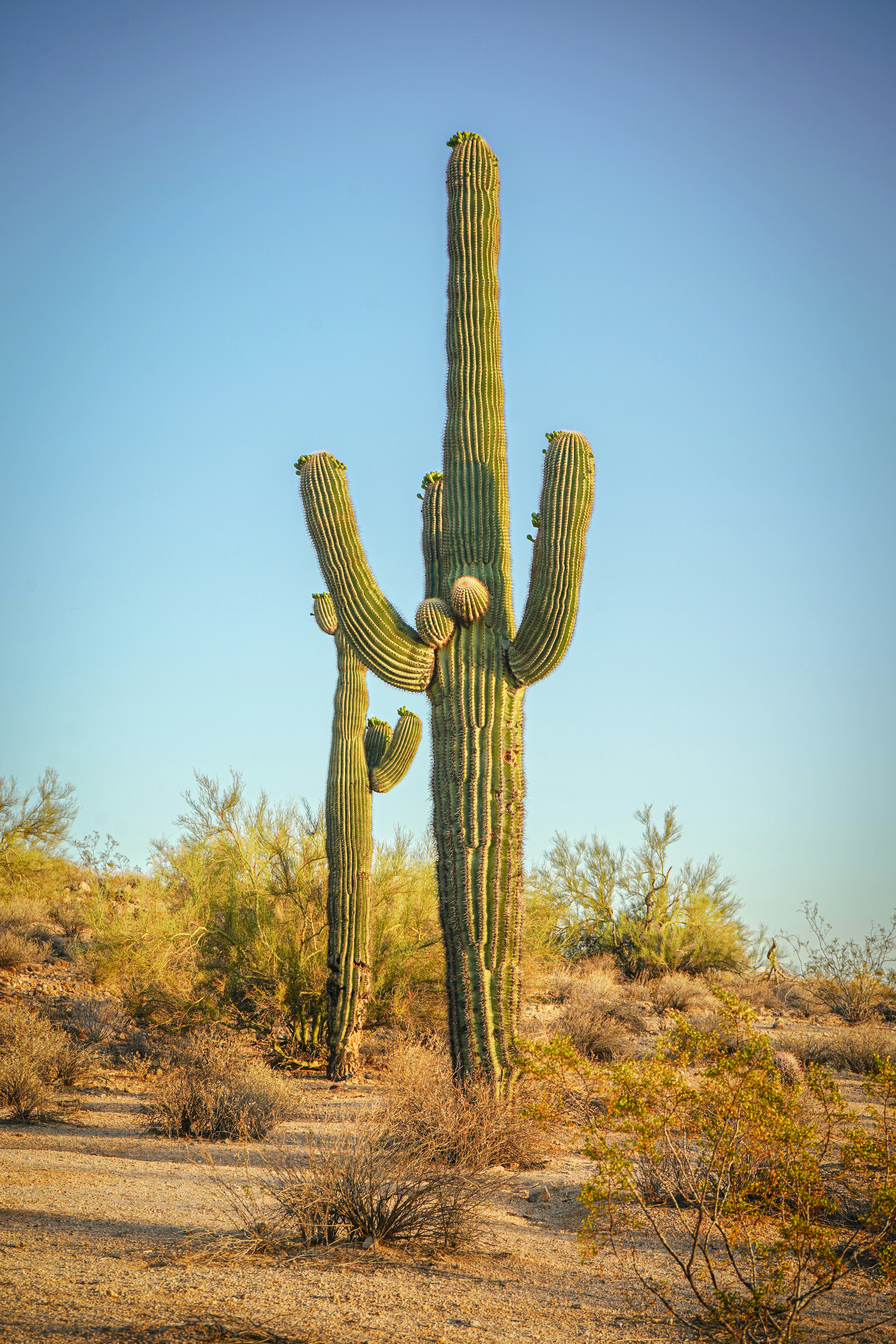 Photo by newlimitsphotography_llc