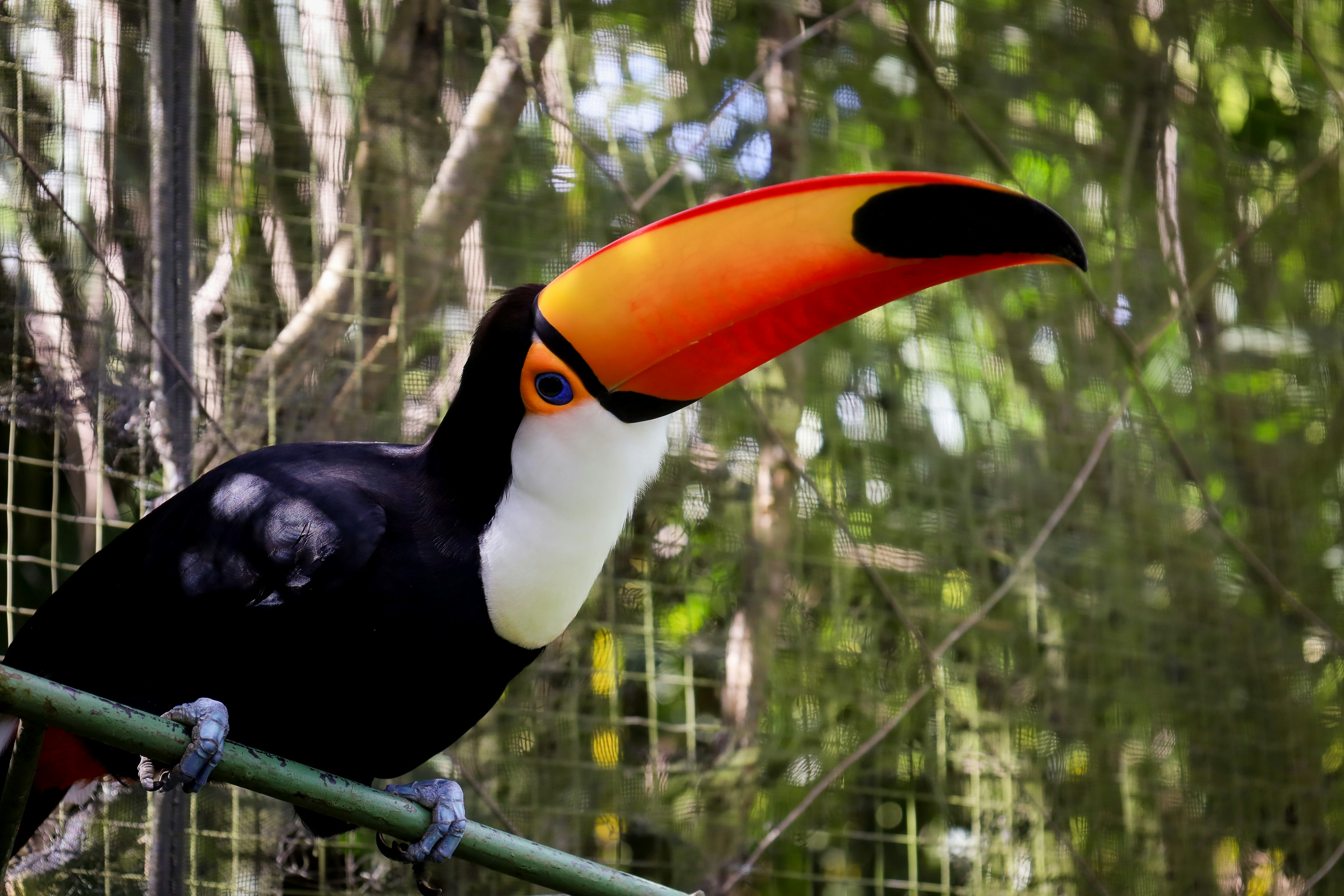 Photo by bonniekdesign