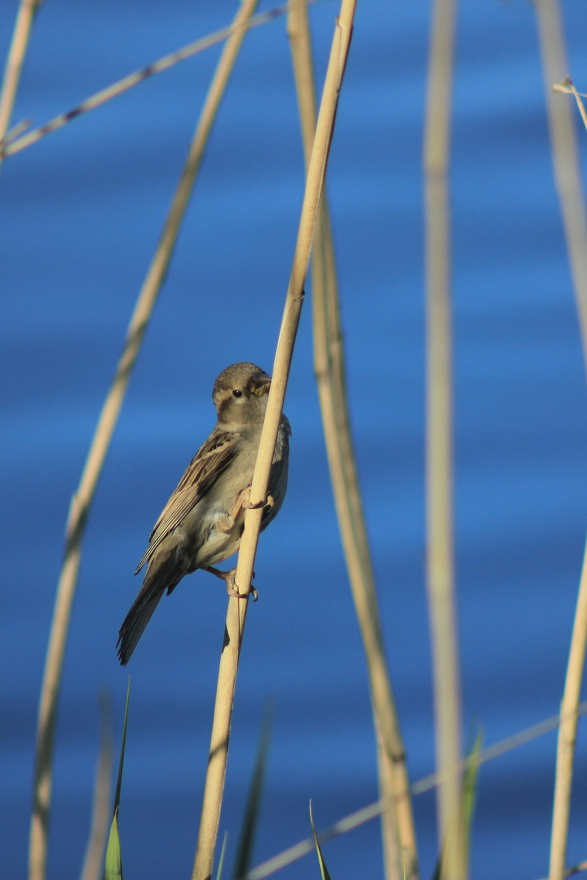 Photo by squirrelinside