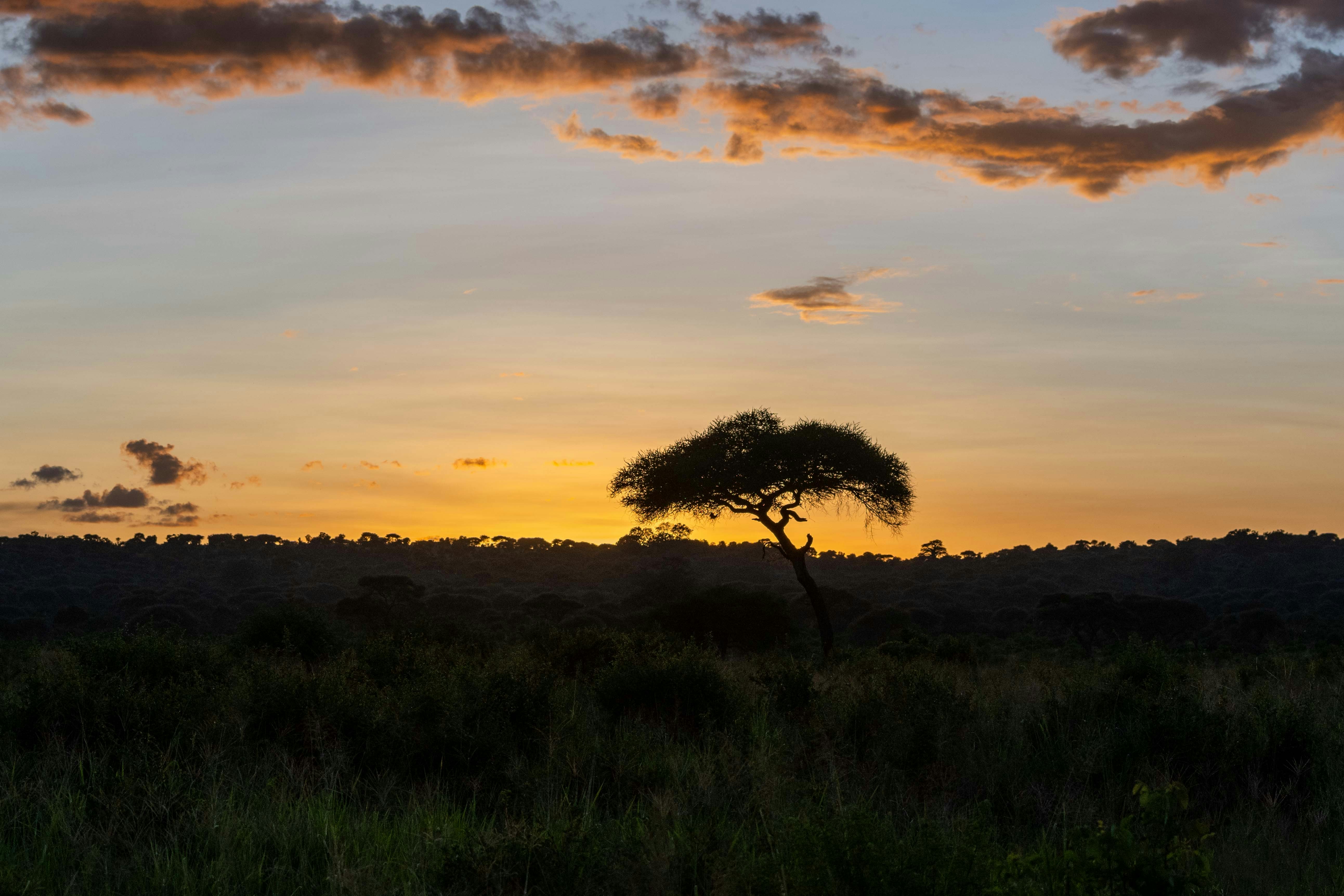 Photo by felixrottmann