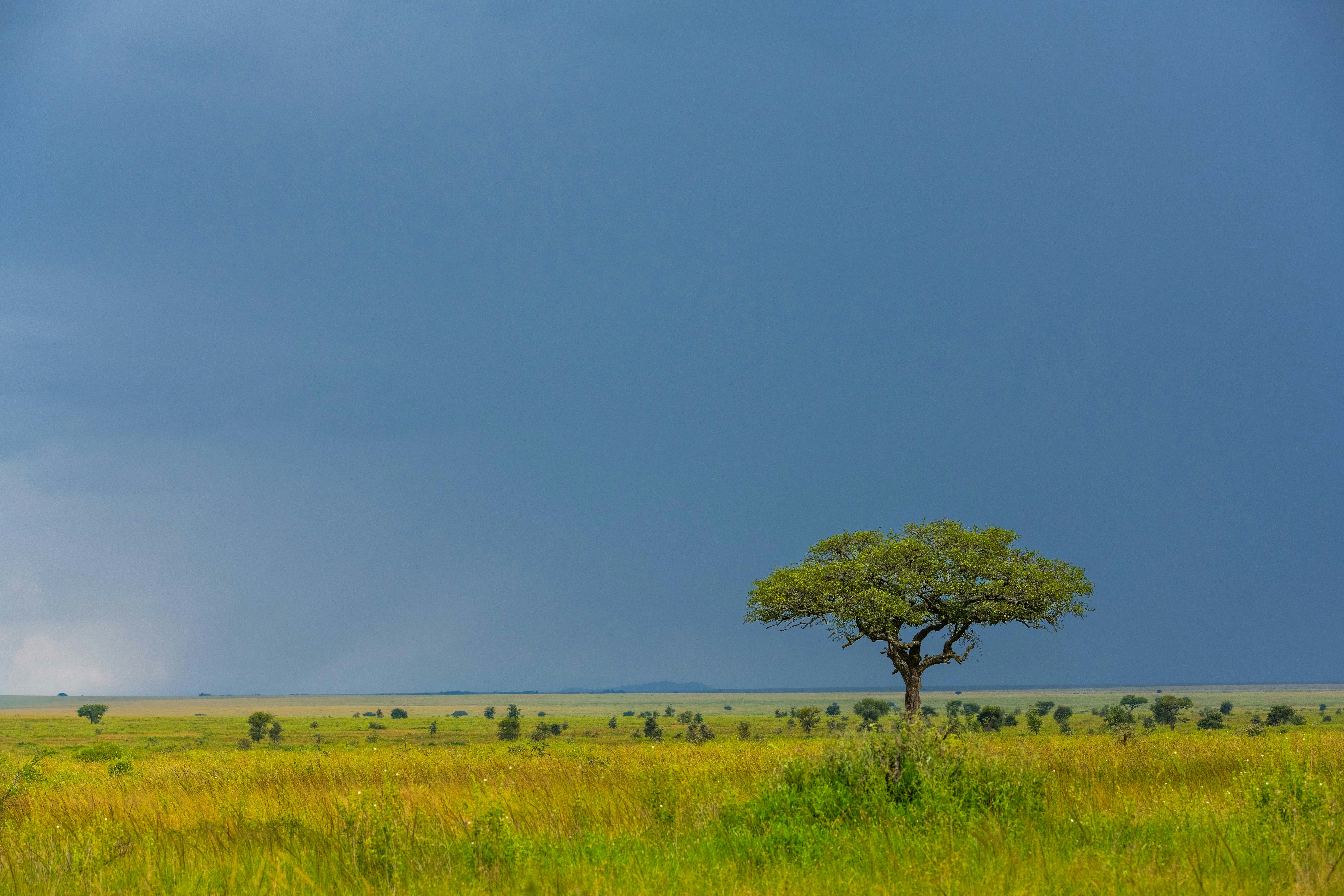 Photo by felixrottmann