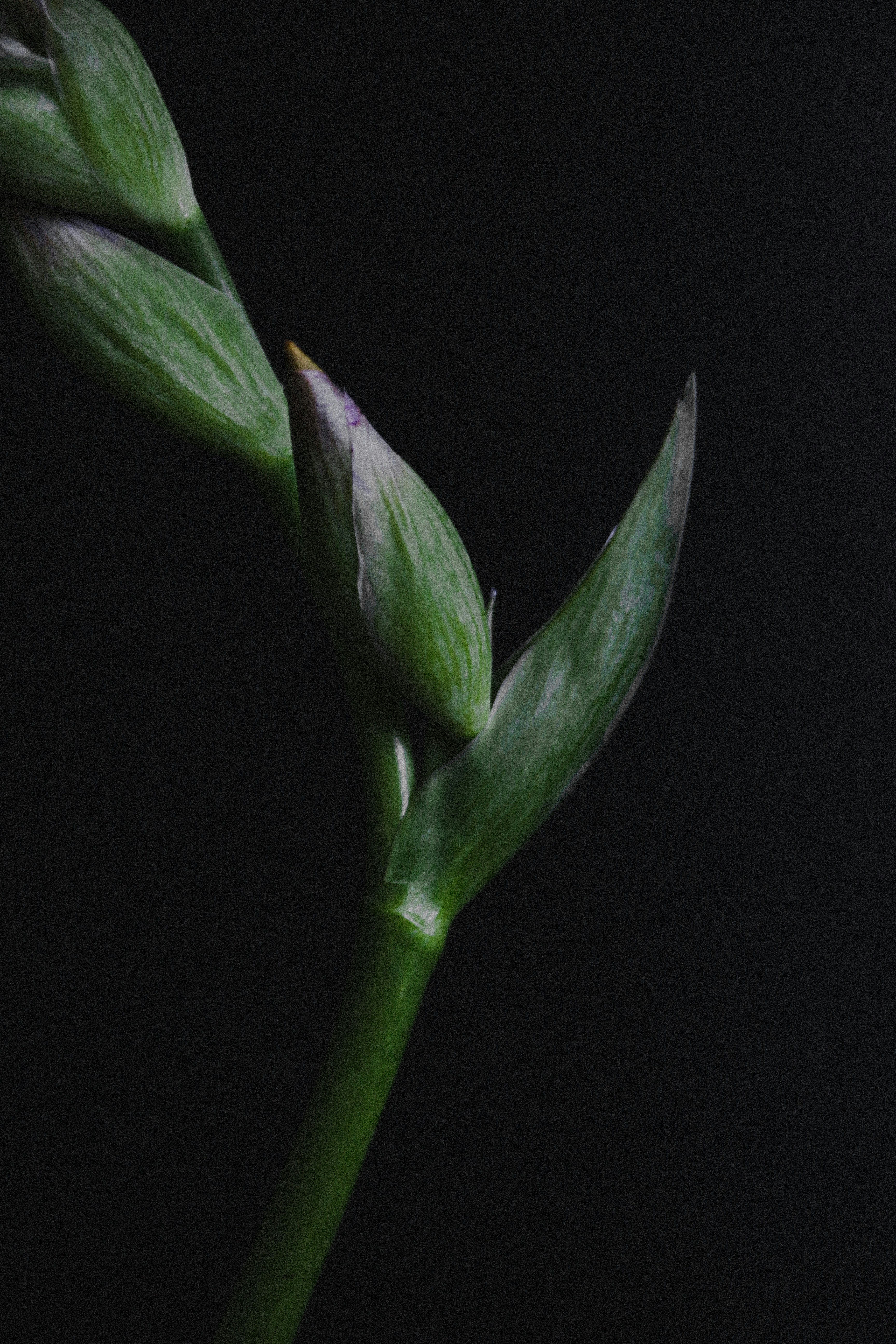 Photo by suleymanovae