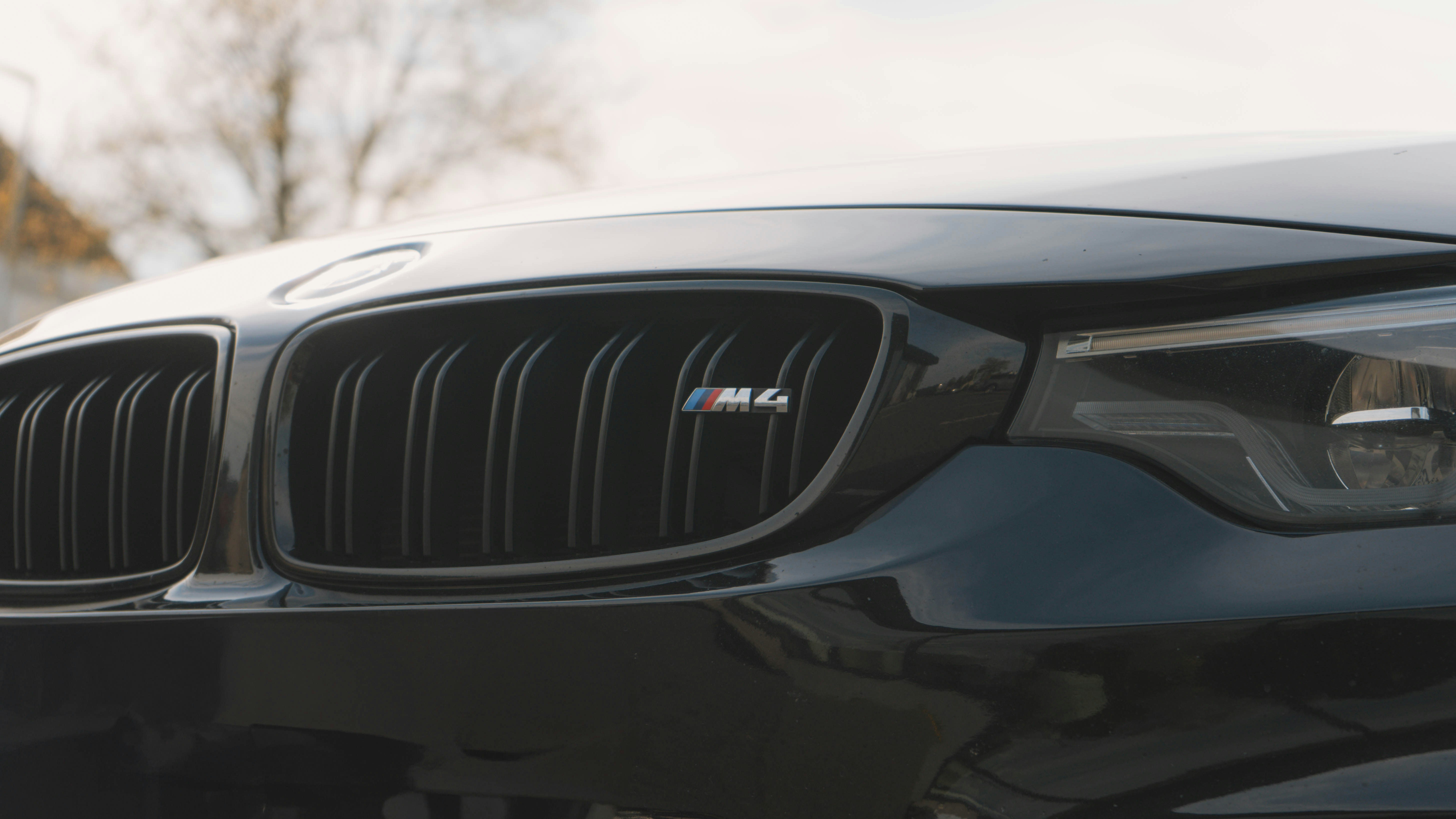 Photo by avenir_visuals