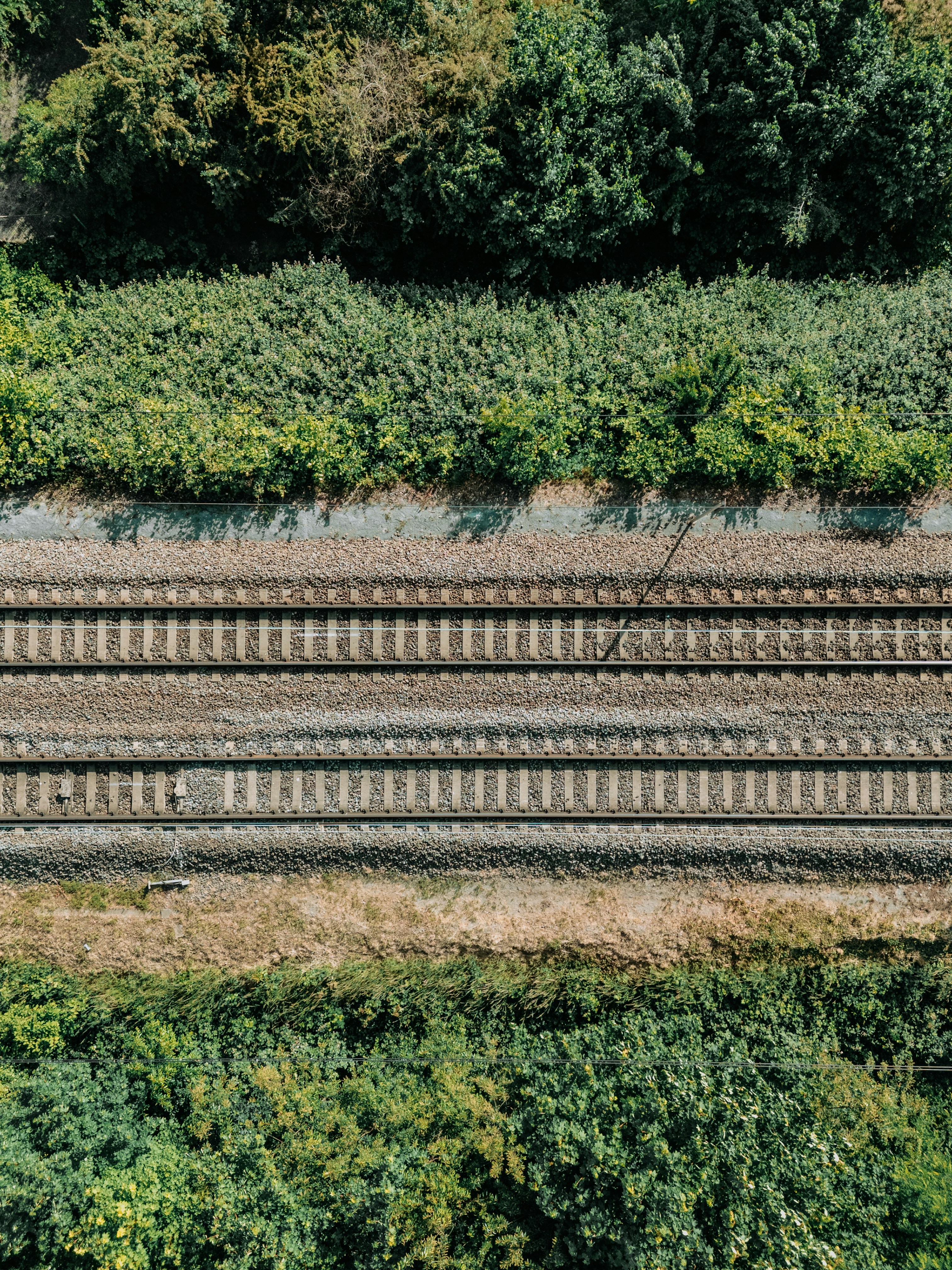 Railway tracks run alongside lush greenery.