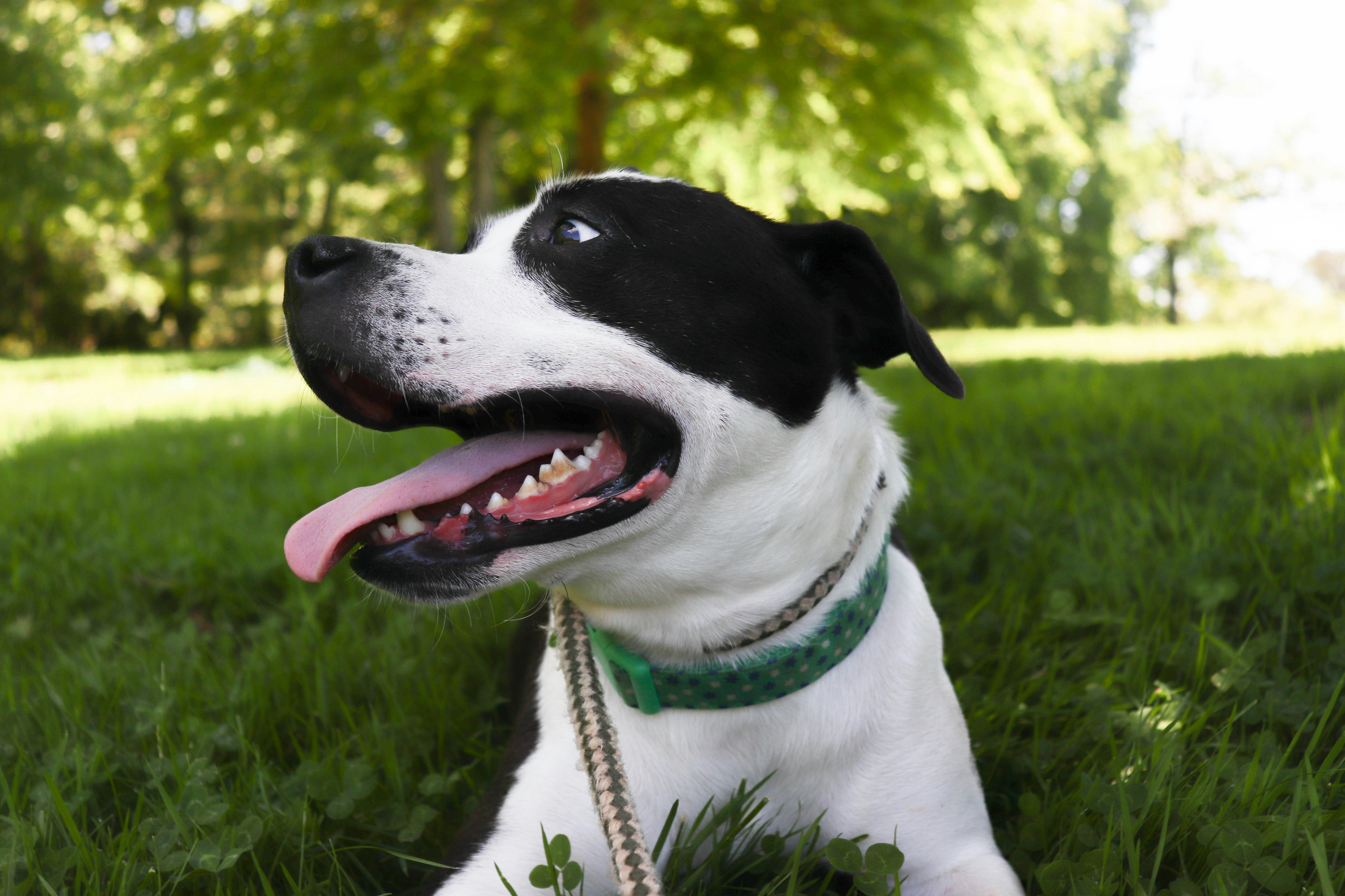 Photo by lroberts067