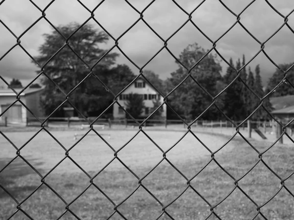 Chain Link Fence