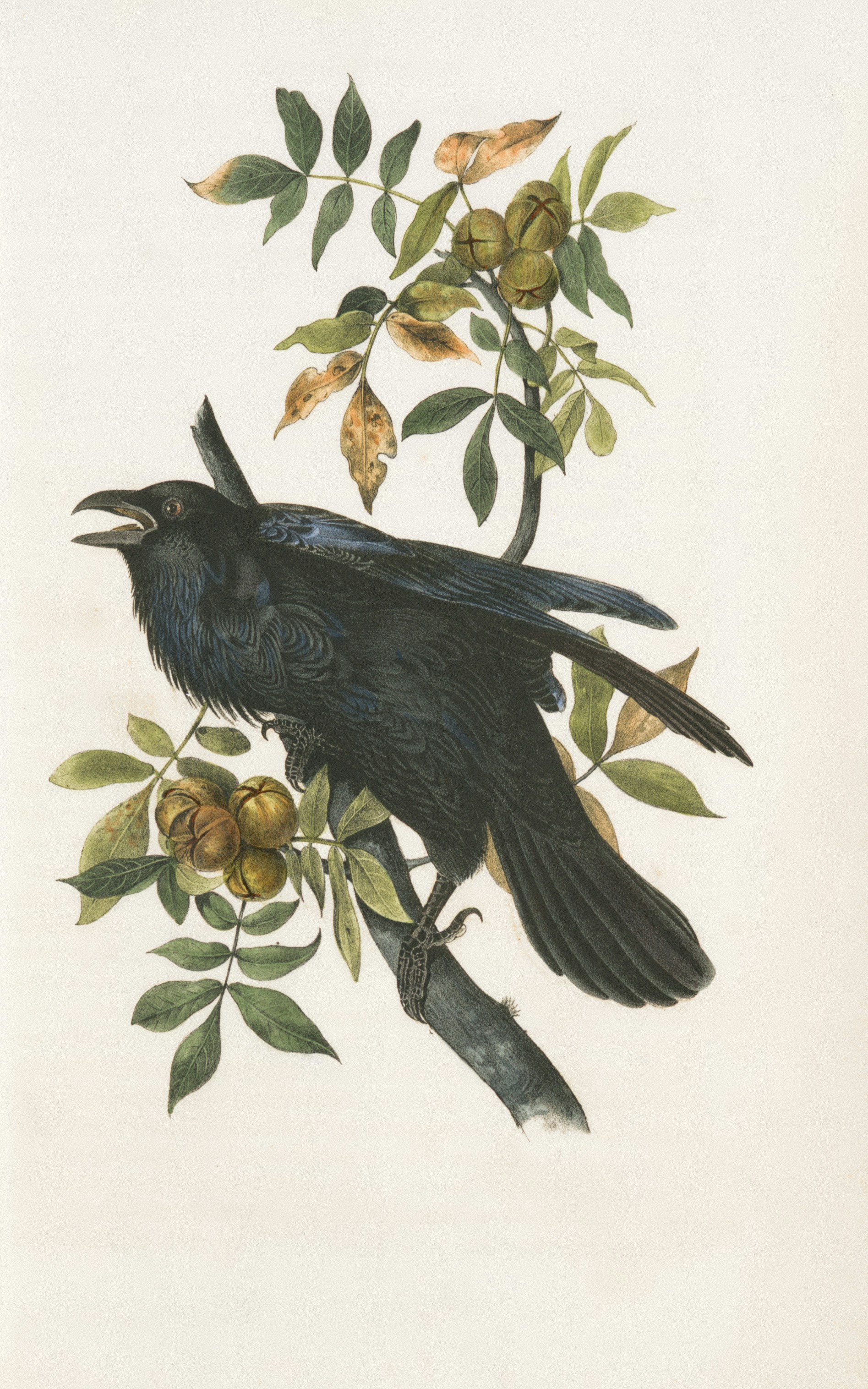 nightingale book author historical fiction