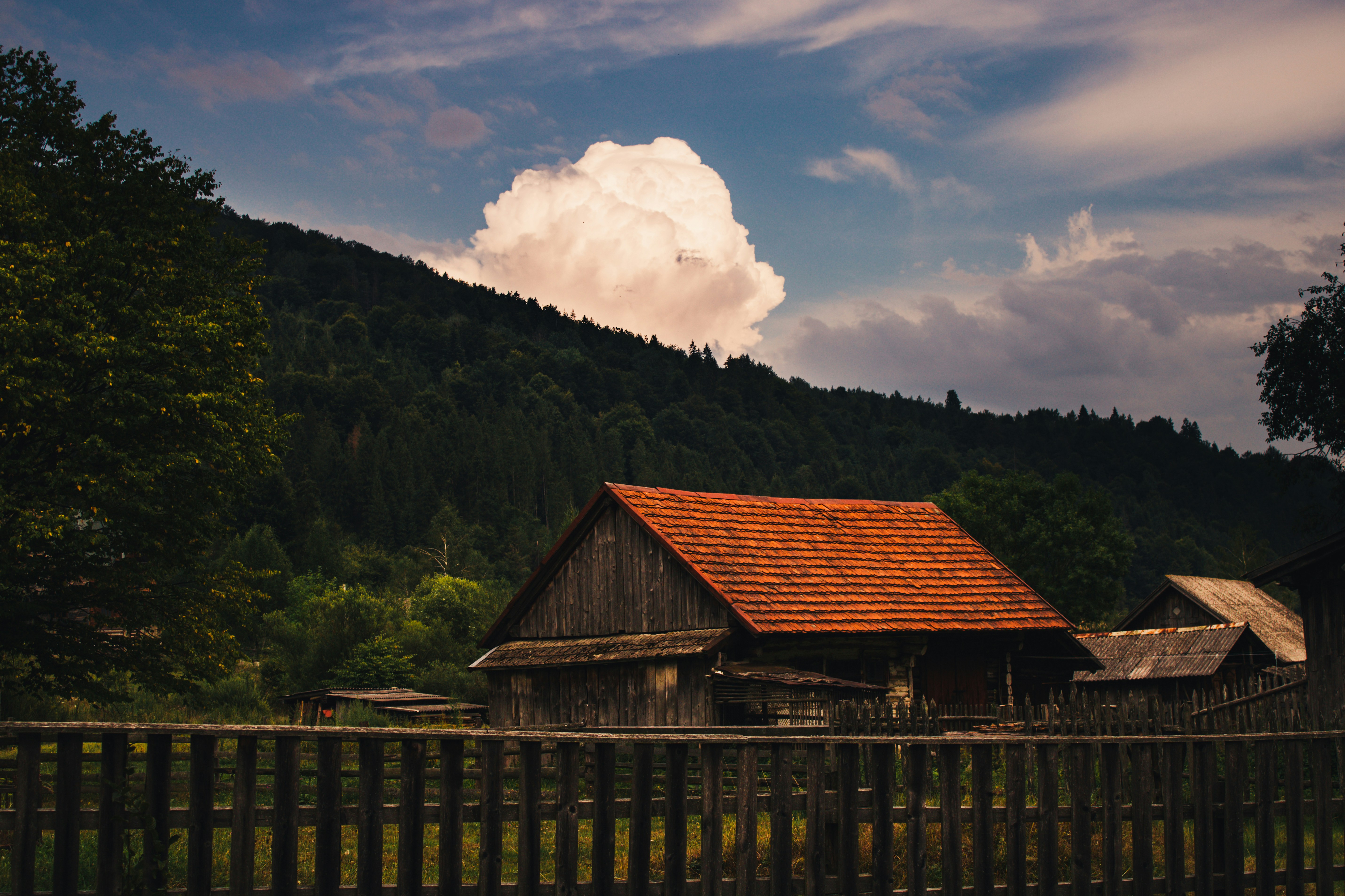 Photo by mineral_of_demon