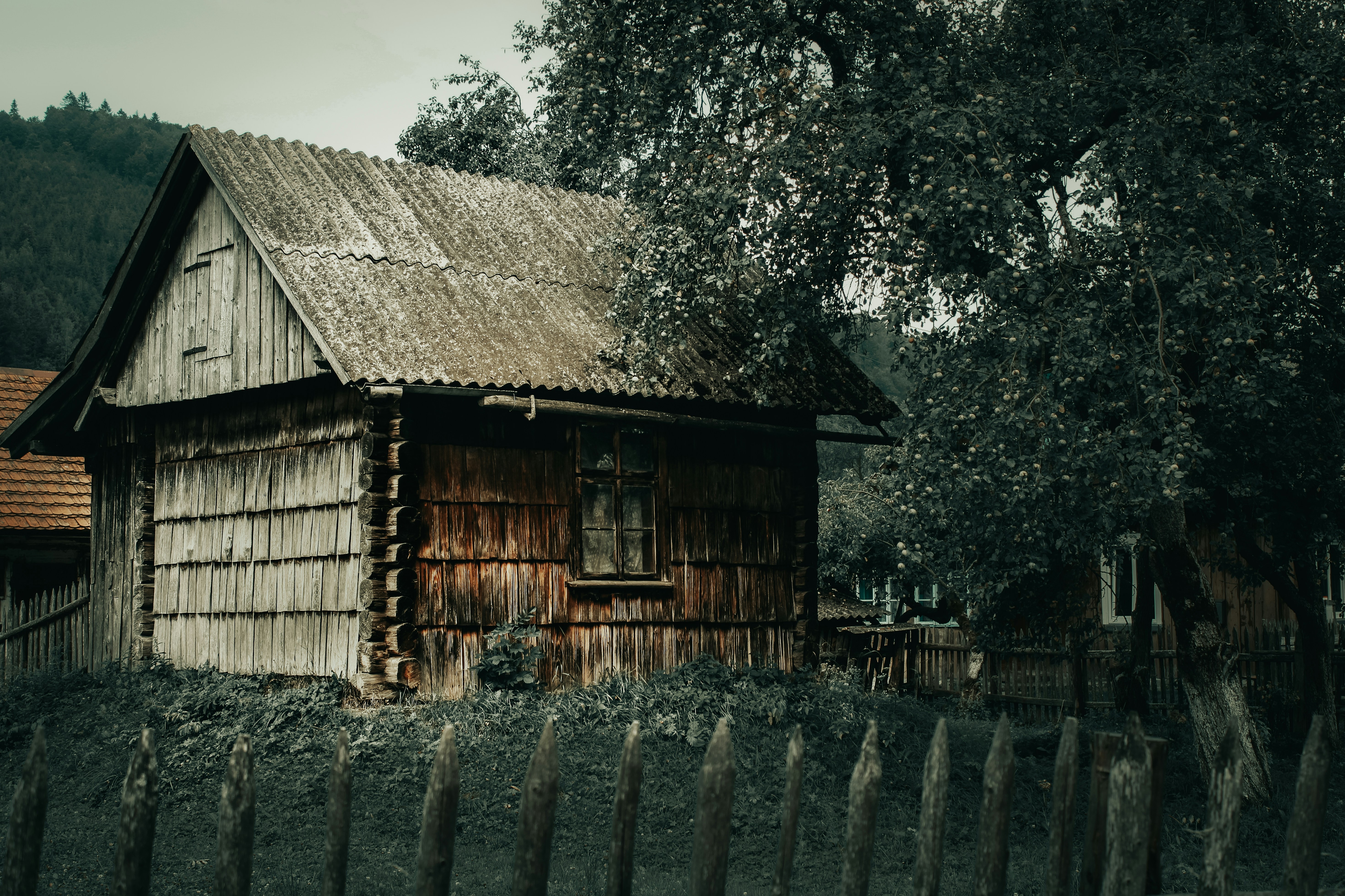 Photo by mineral_of_demon