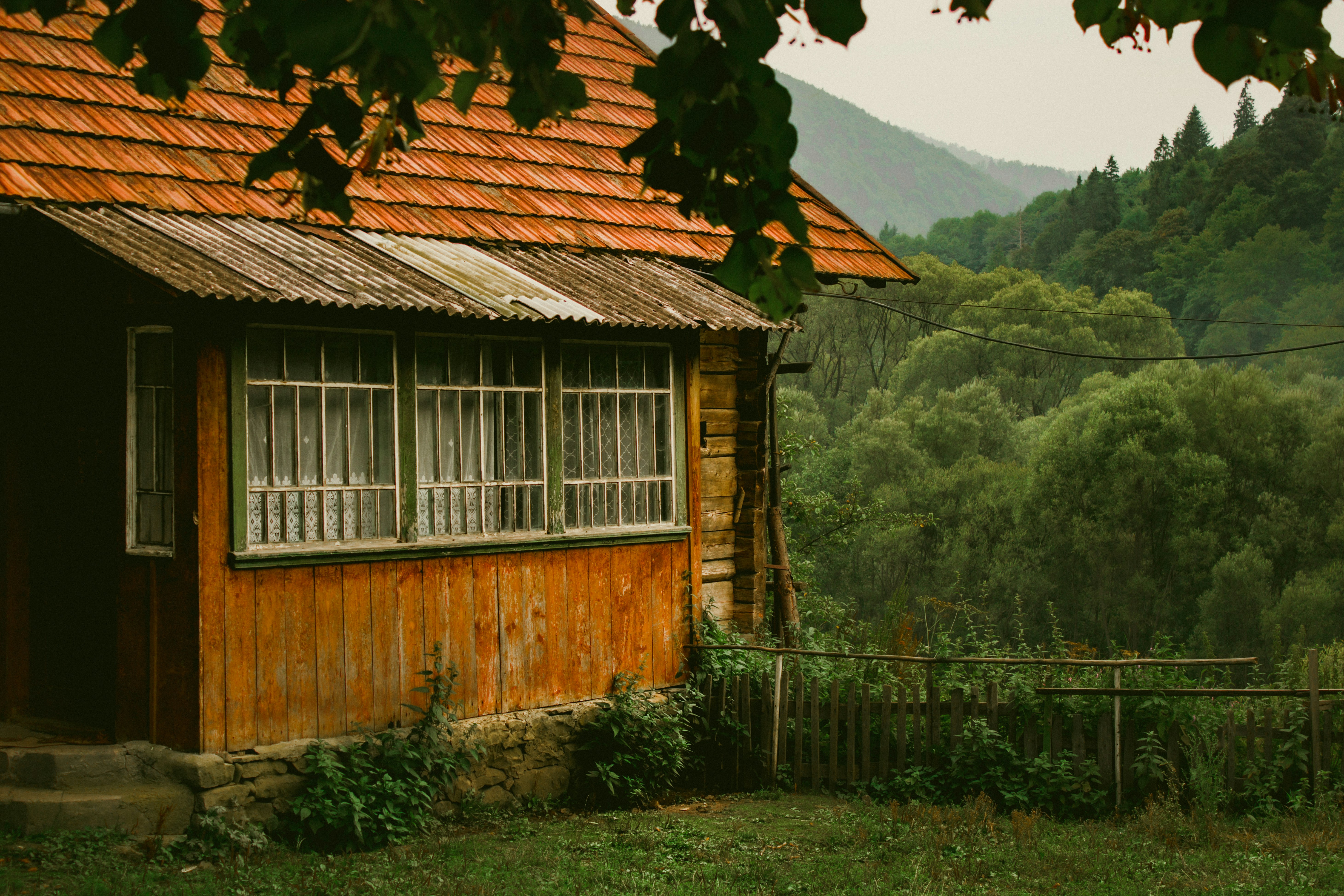 Rustic cabin nestled in a lush green forest.