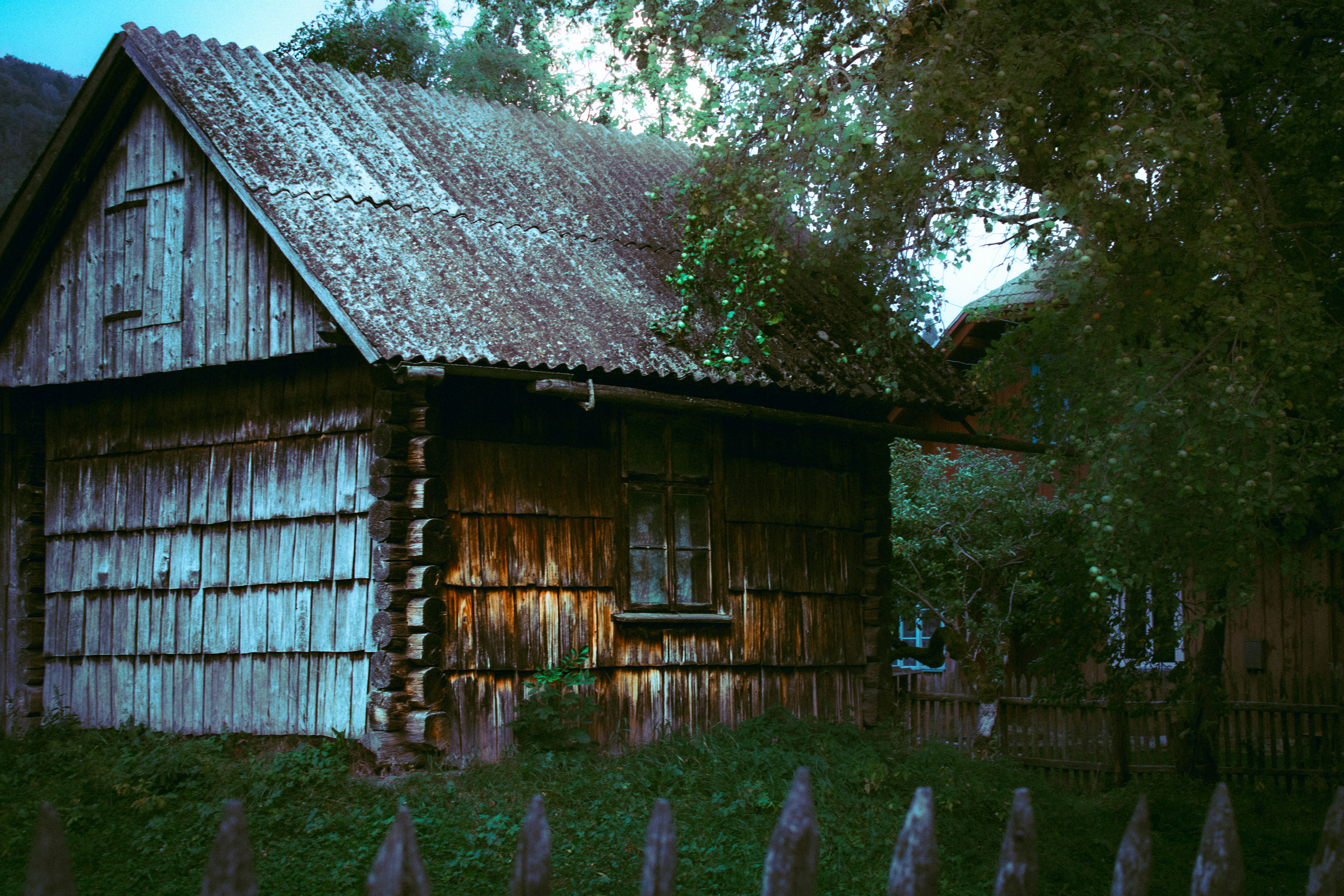 Photo by mineral_of_demon