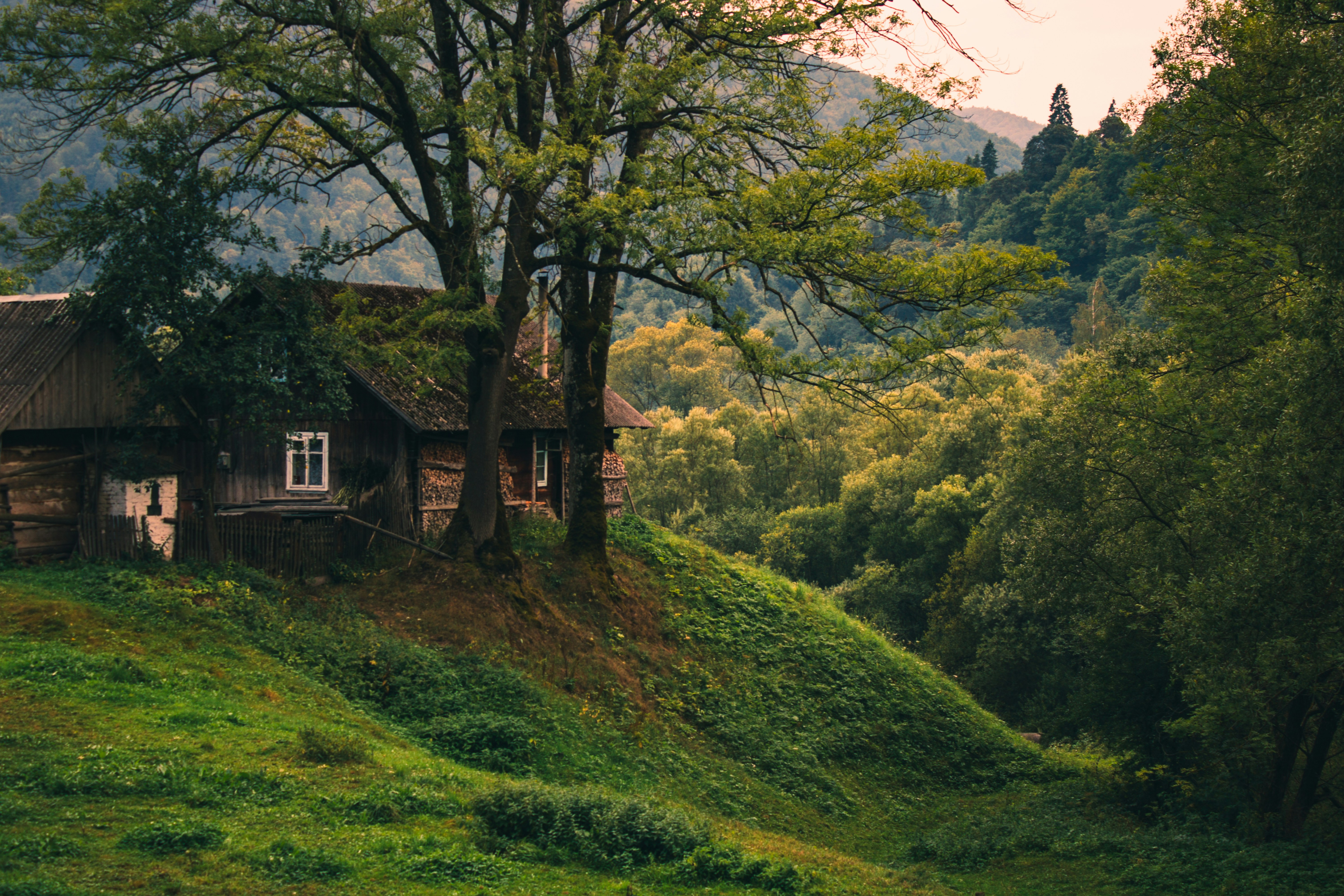 Photo by mineral_of_demon