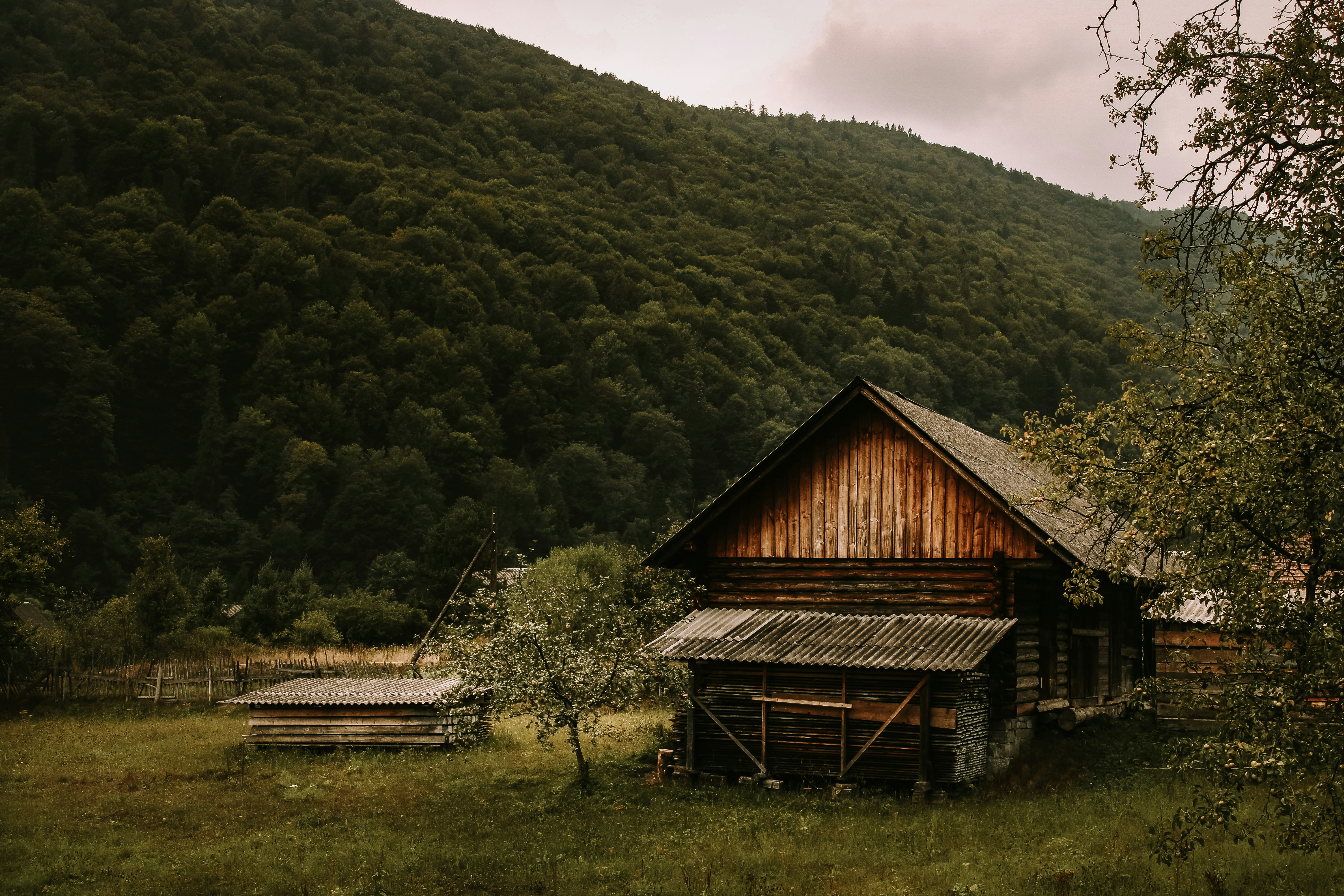 Photo by mineral_of_demon