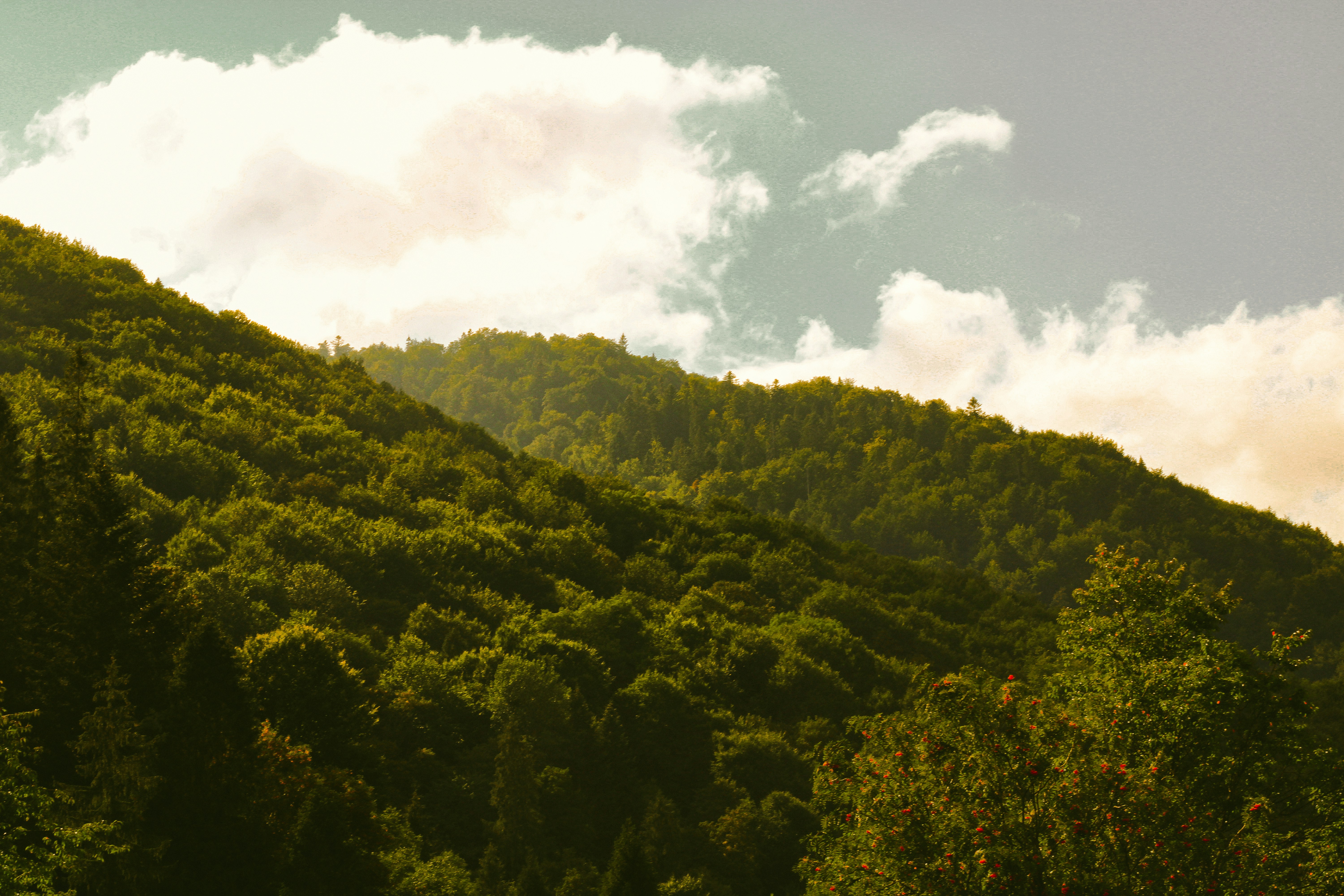 Photo by mineral_of_demon