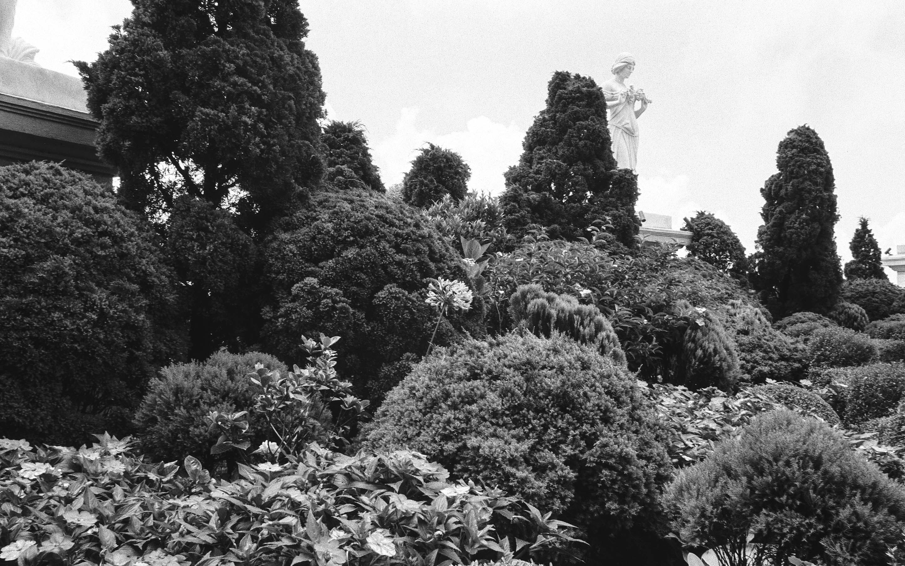 Jardín del templo de La Esperanza