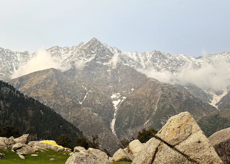 Triund forest trail beneath the Dhauladhar range