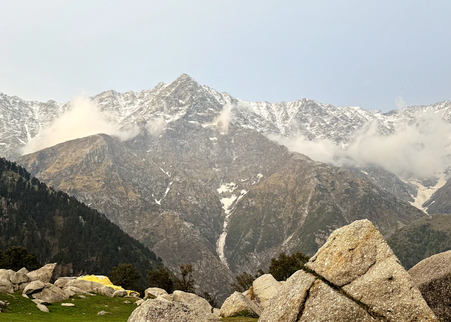 Forested trail beneath the Dhauladhar range near Dharamshala