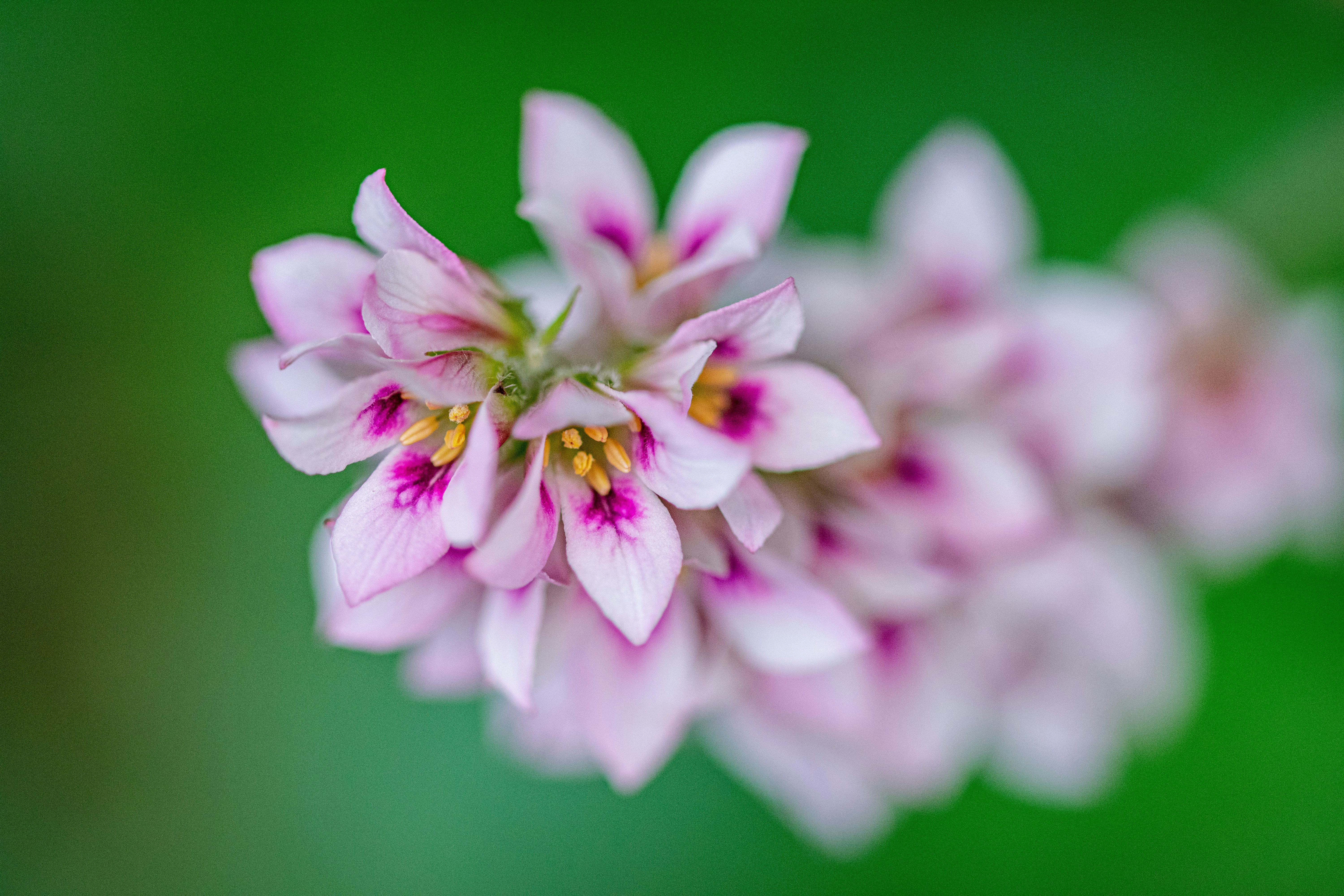 Photo by ellephant_photography