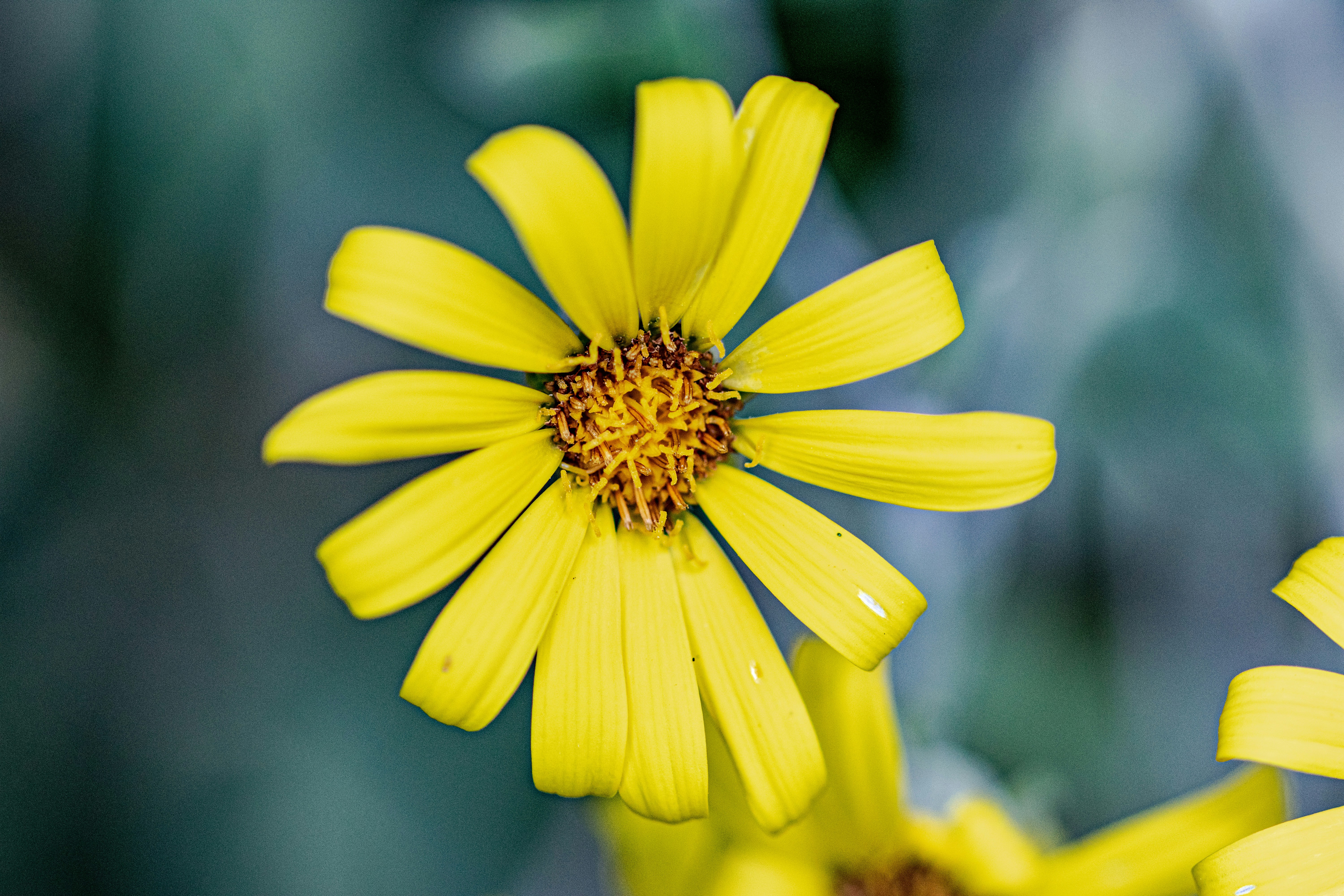 Photo by ellephant_photography