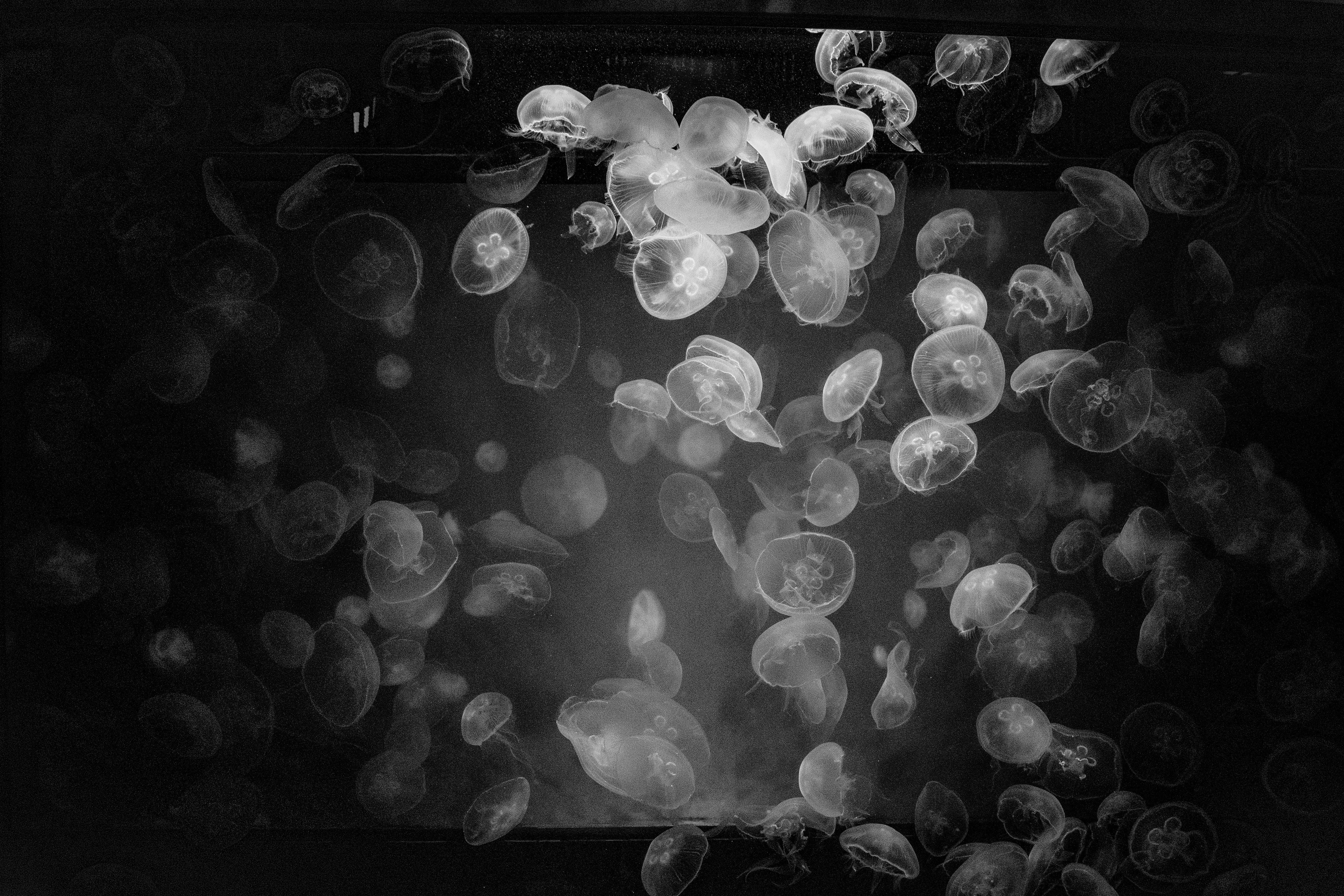 Photo by ellephant_photography