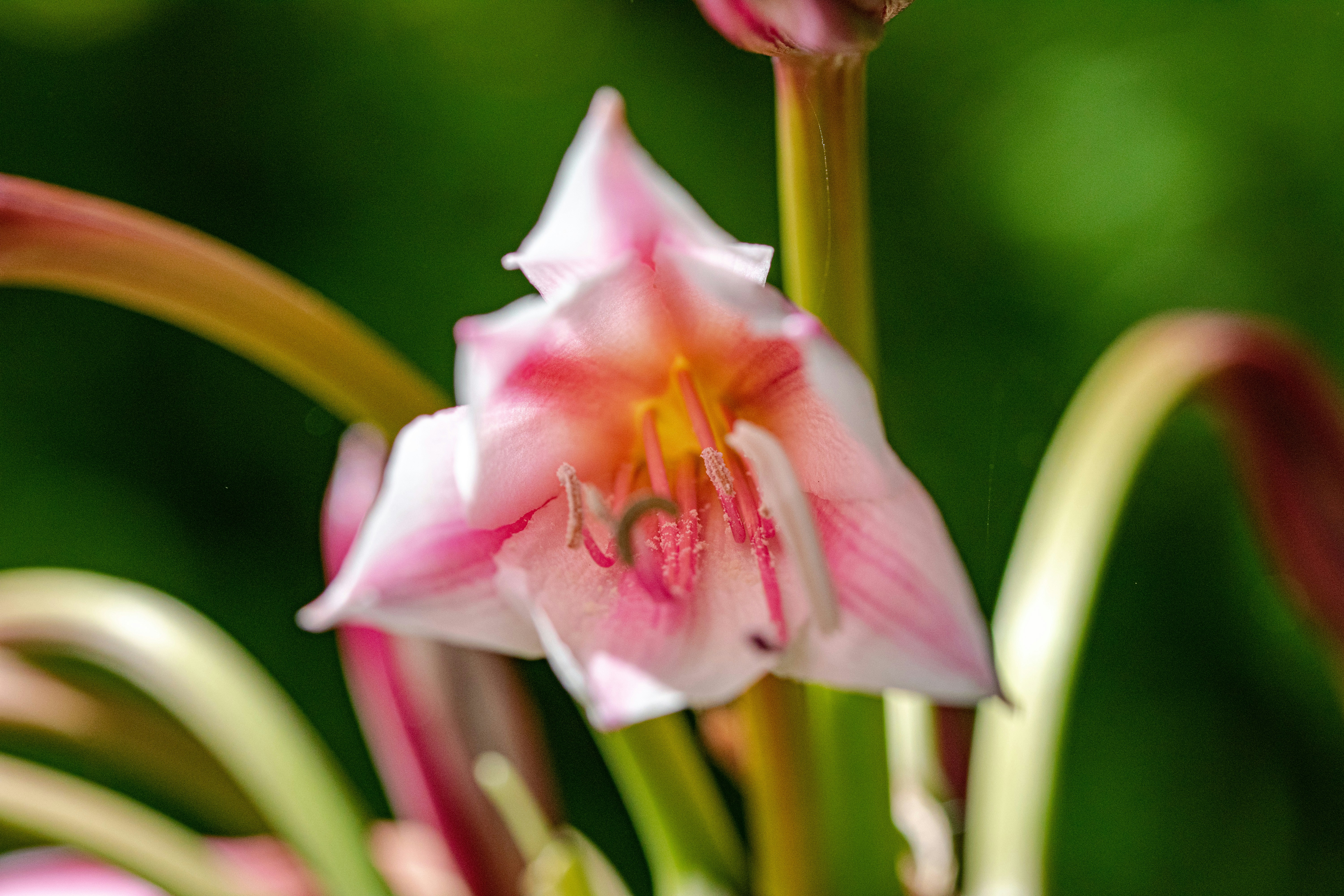 Photo by ellephant_photography